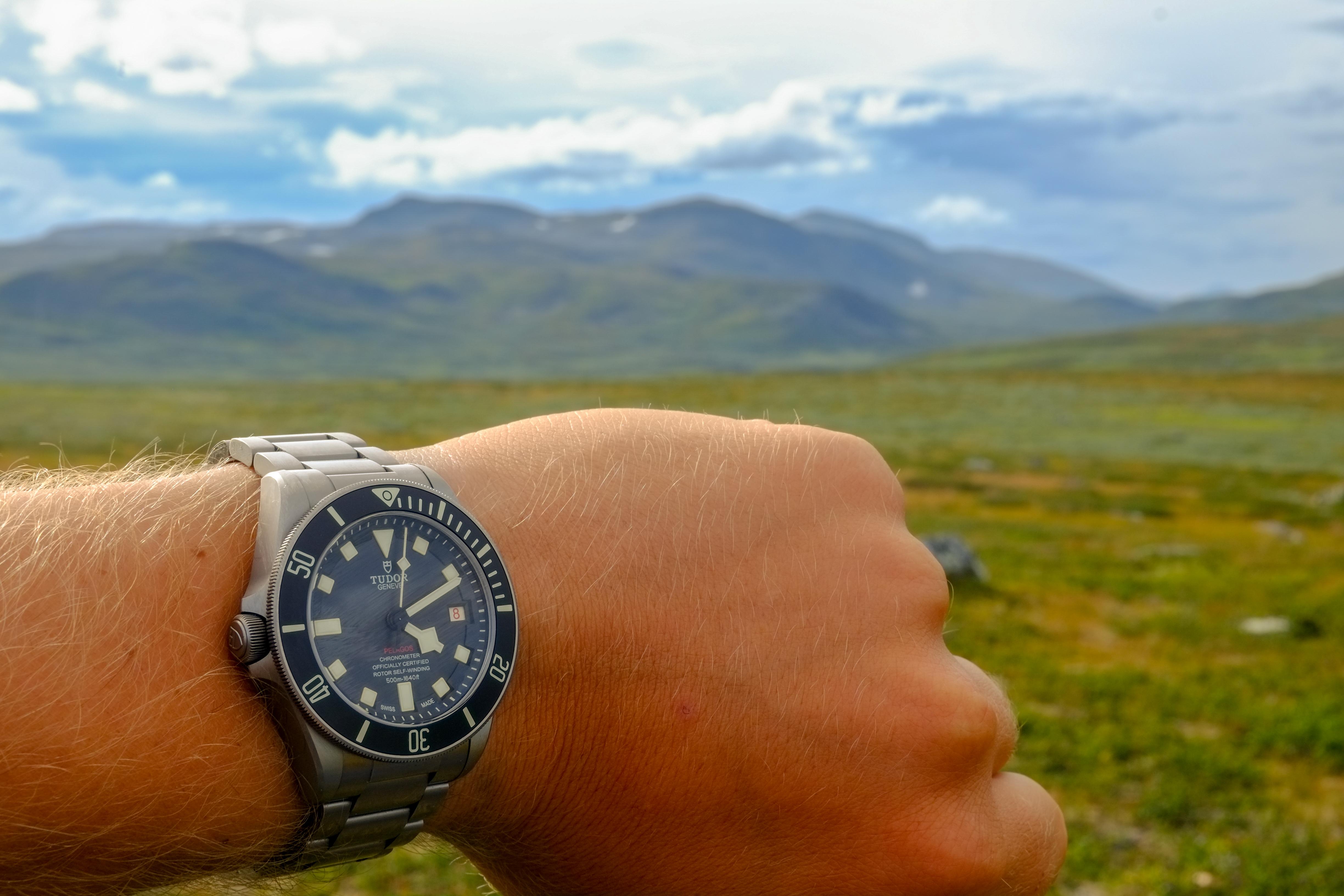 [Tudor] Buying a watch to keep it in a safe is stupid r/Watches