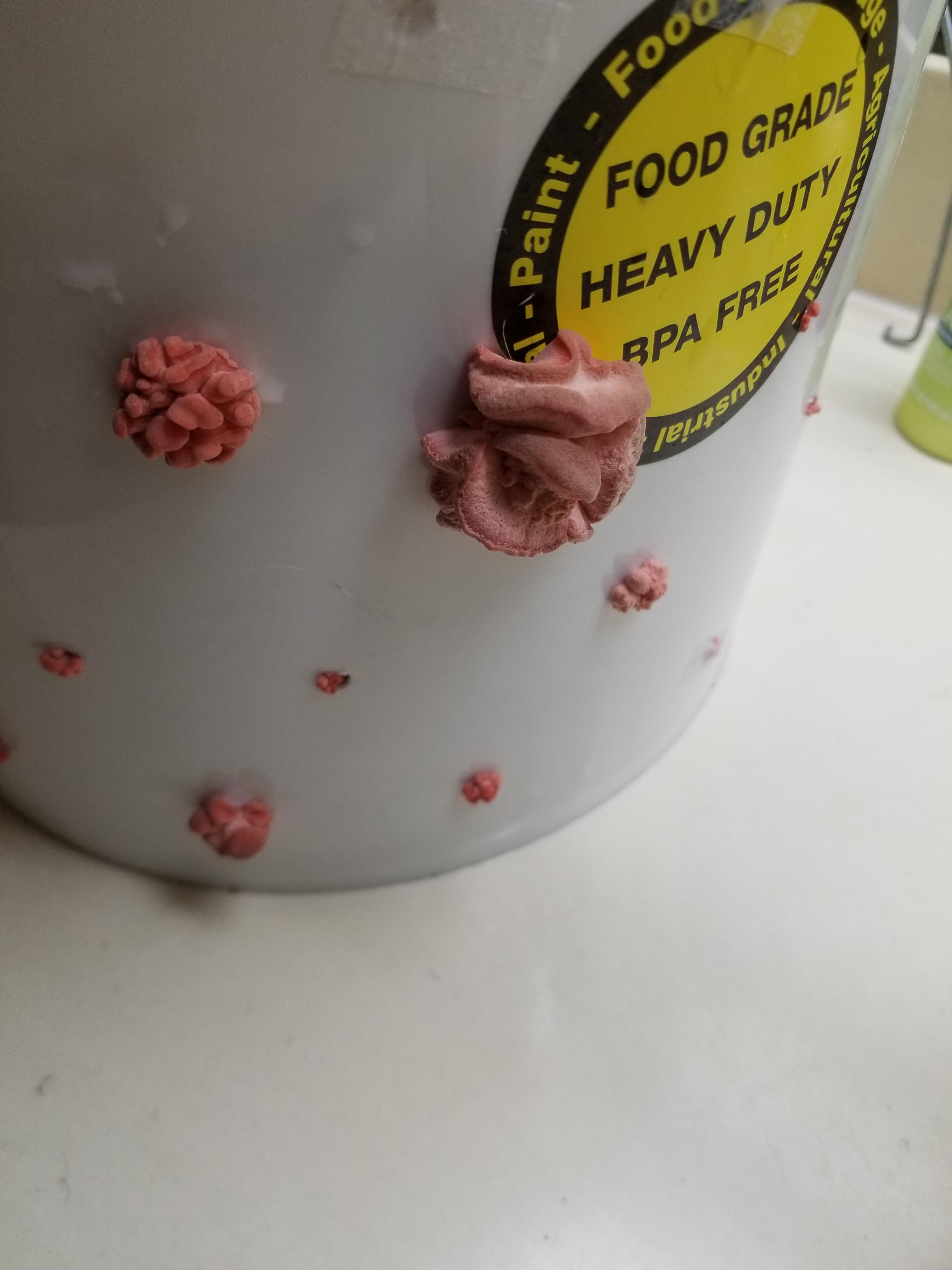 What's up with the discoloration. Pink Oyster r/mycology