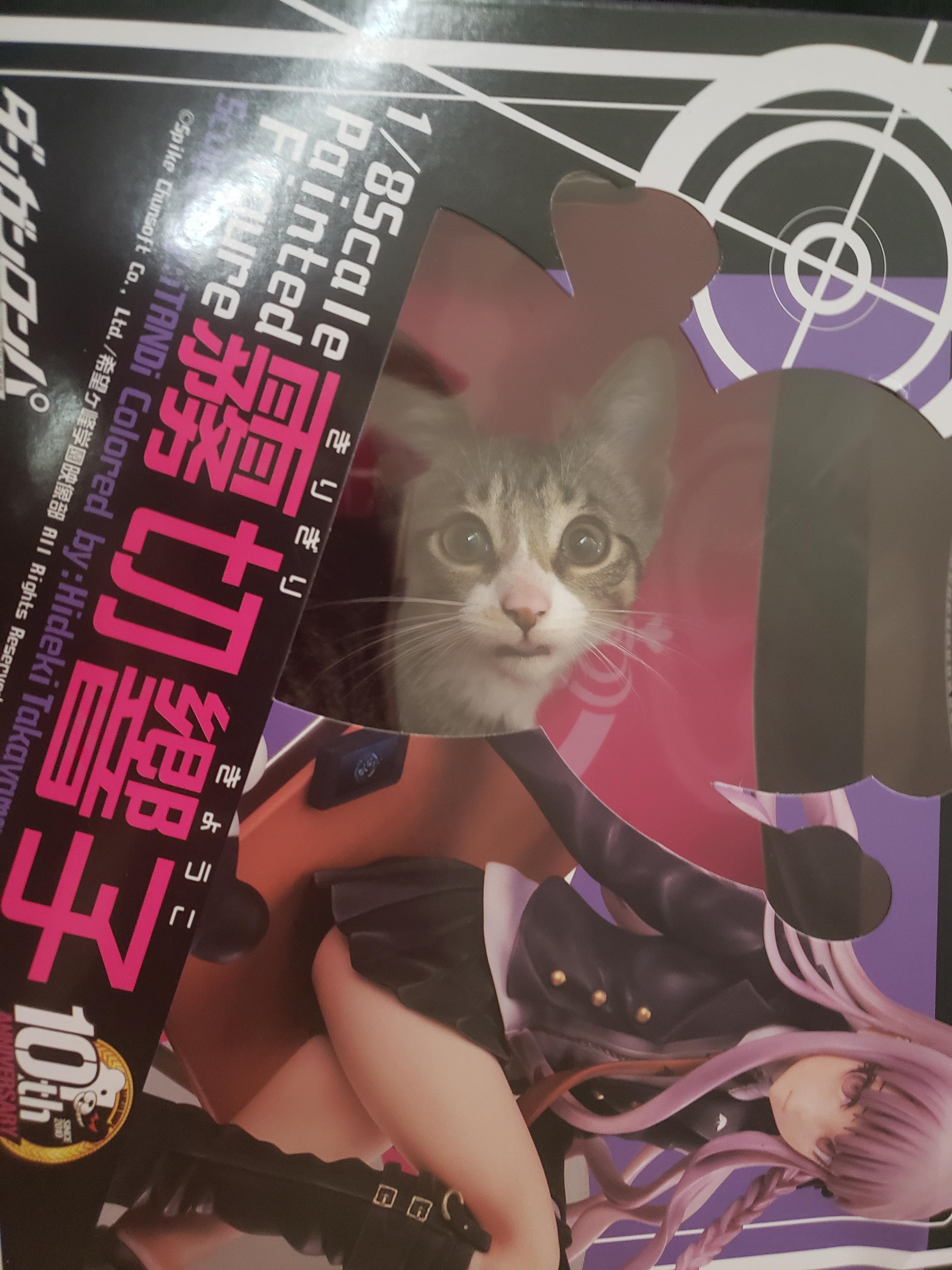 My new anime figure is adorable ! AnimeFigures