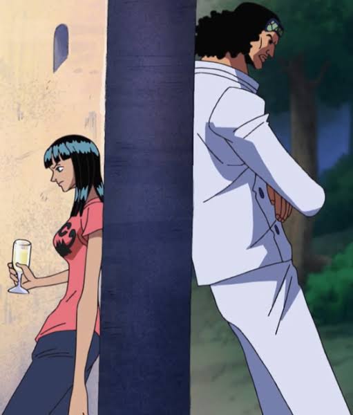 Can someone please tell what their conversation meant in here? When Aokiji asked her has she