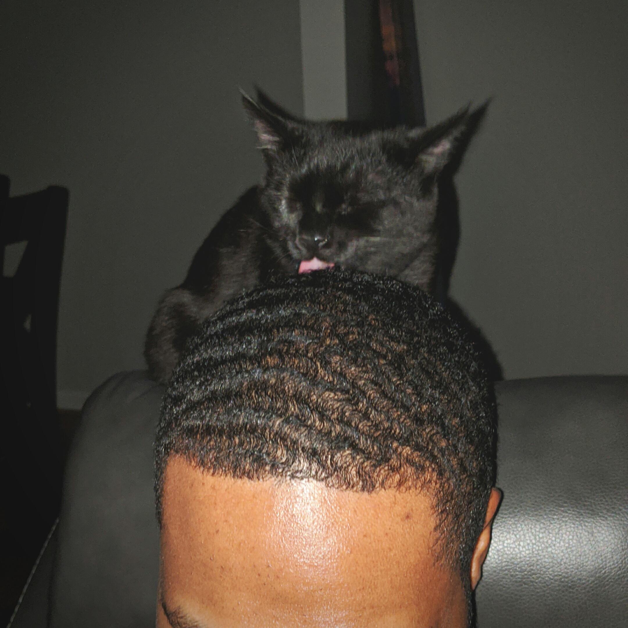 I never thought cats liked licking people, but licking me is this