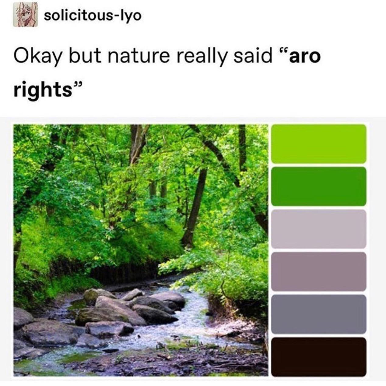 You don’t mess with Mother Nature aromantic