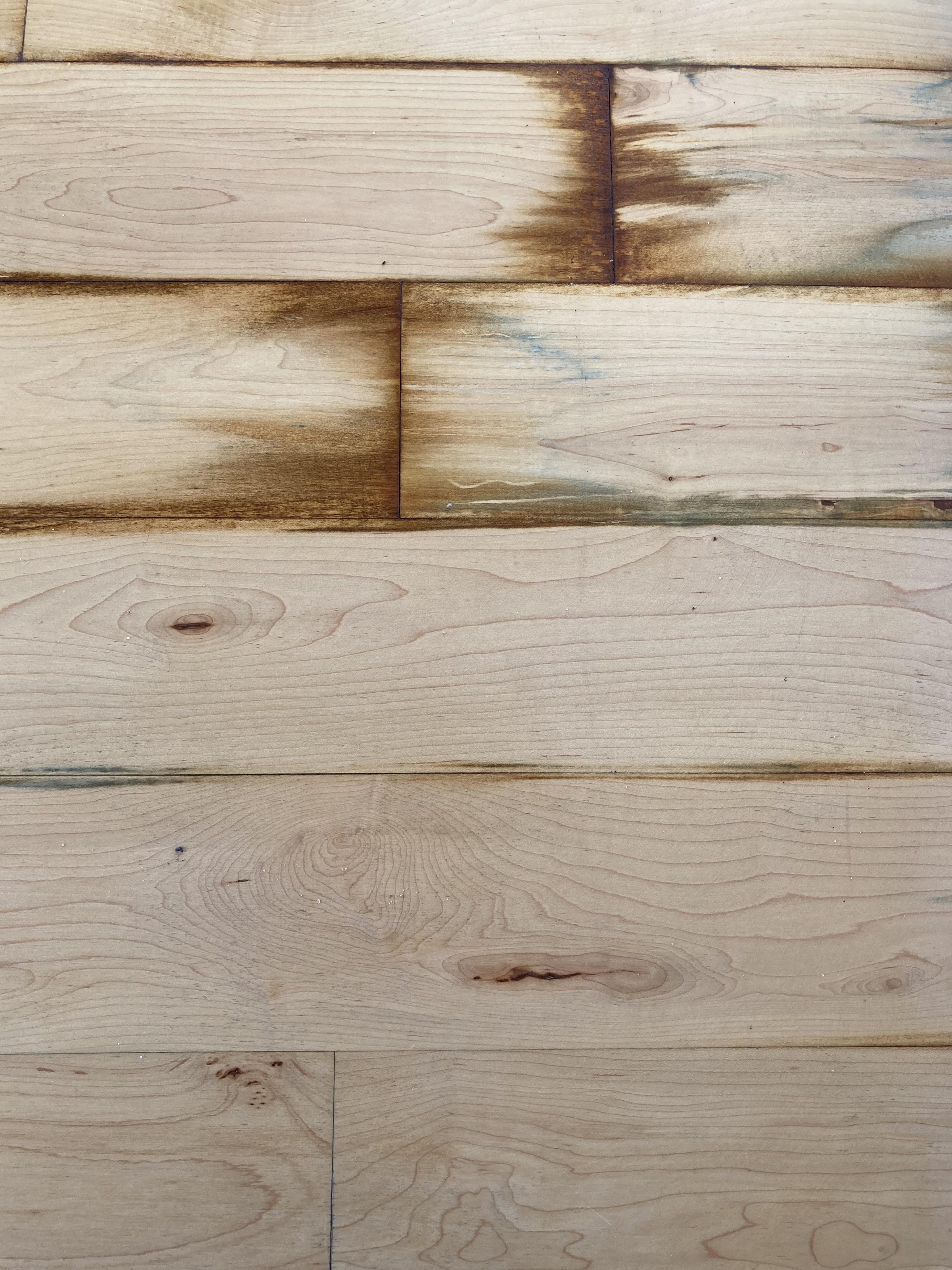 Small patch of discoloration on my wood floors. No residue or odor, not