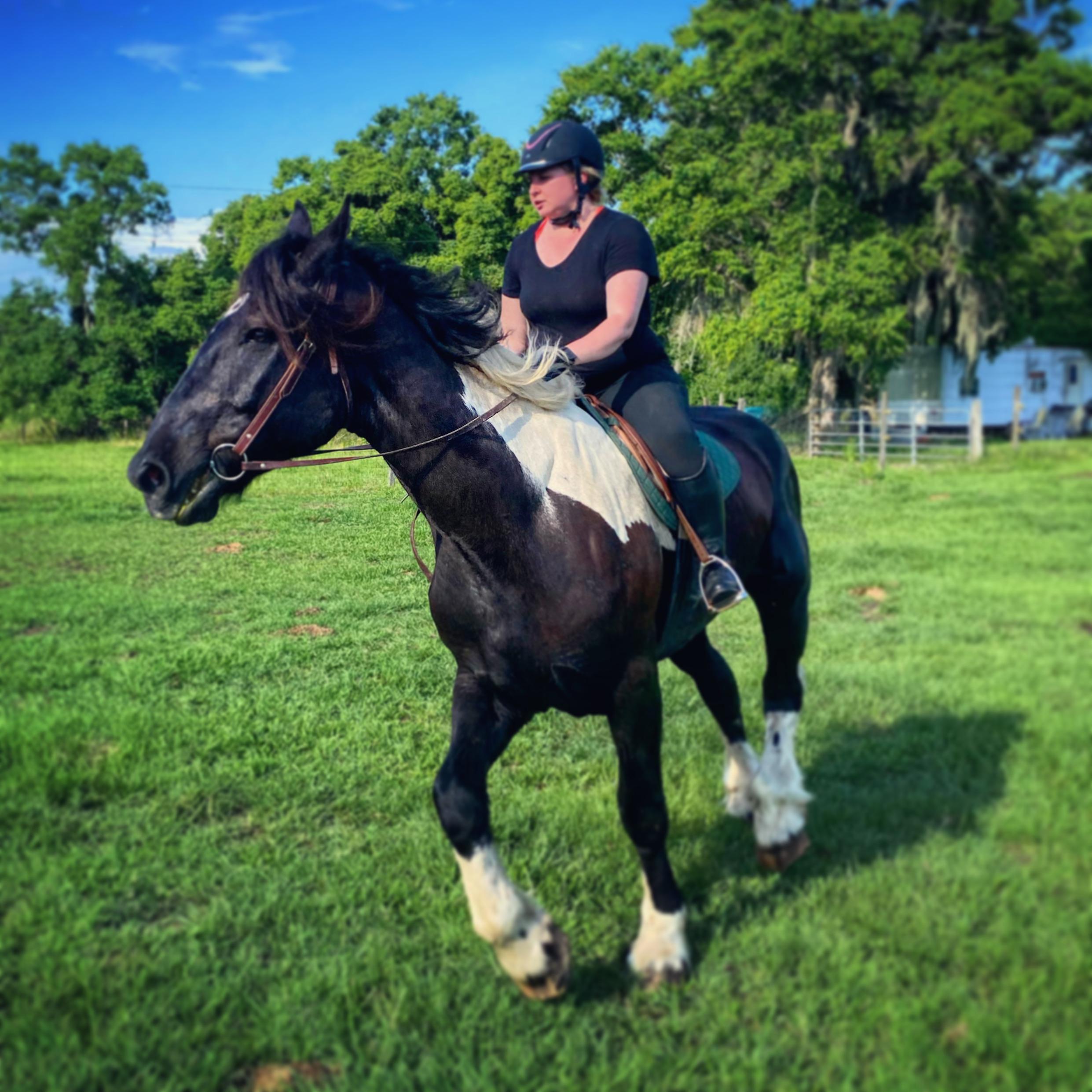 New riding buddy ^_^ r/Horses