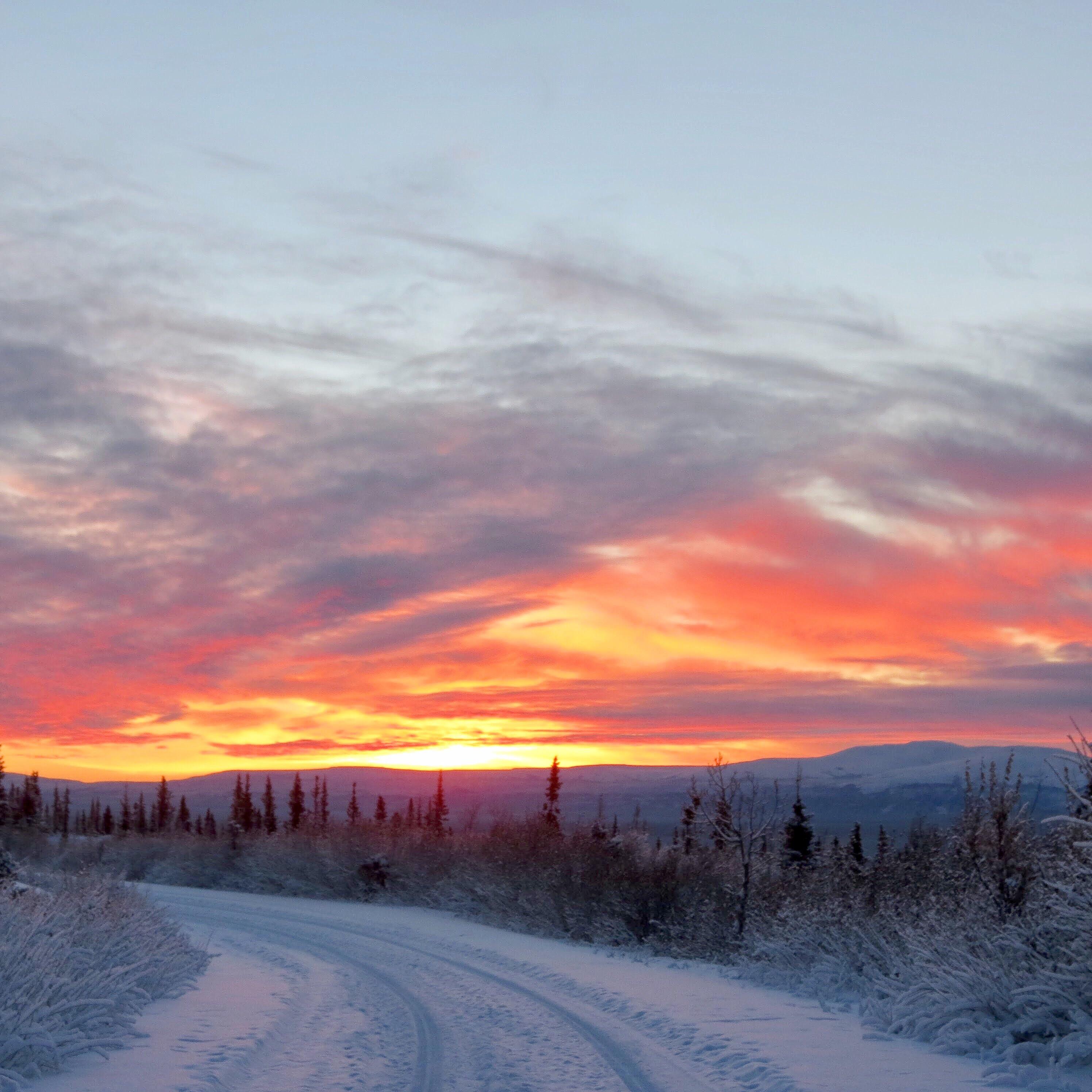 The Denali Hwy in winter. r/alaska