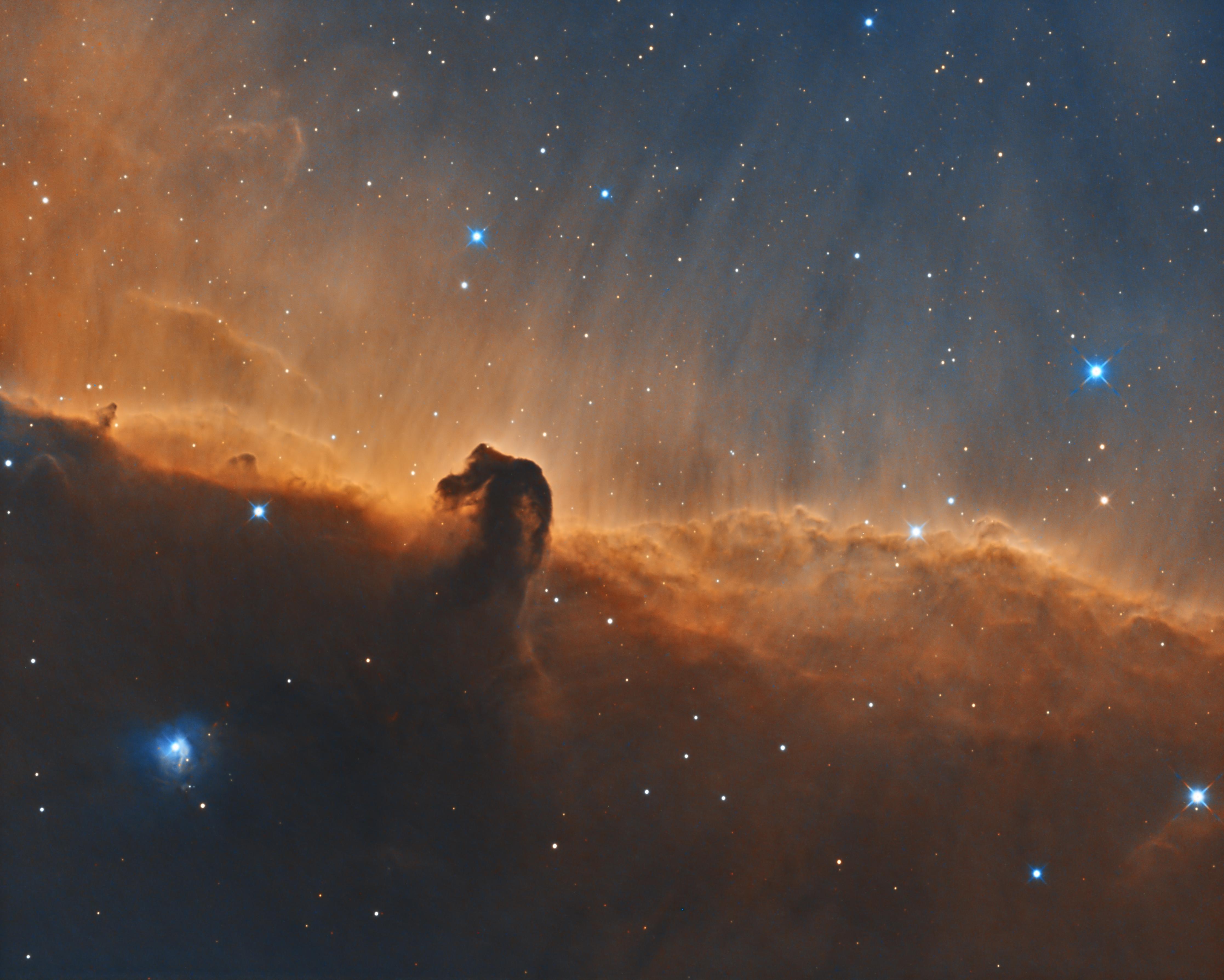 The HorseHead nebula in narrowband r/astrophotography