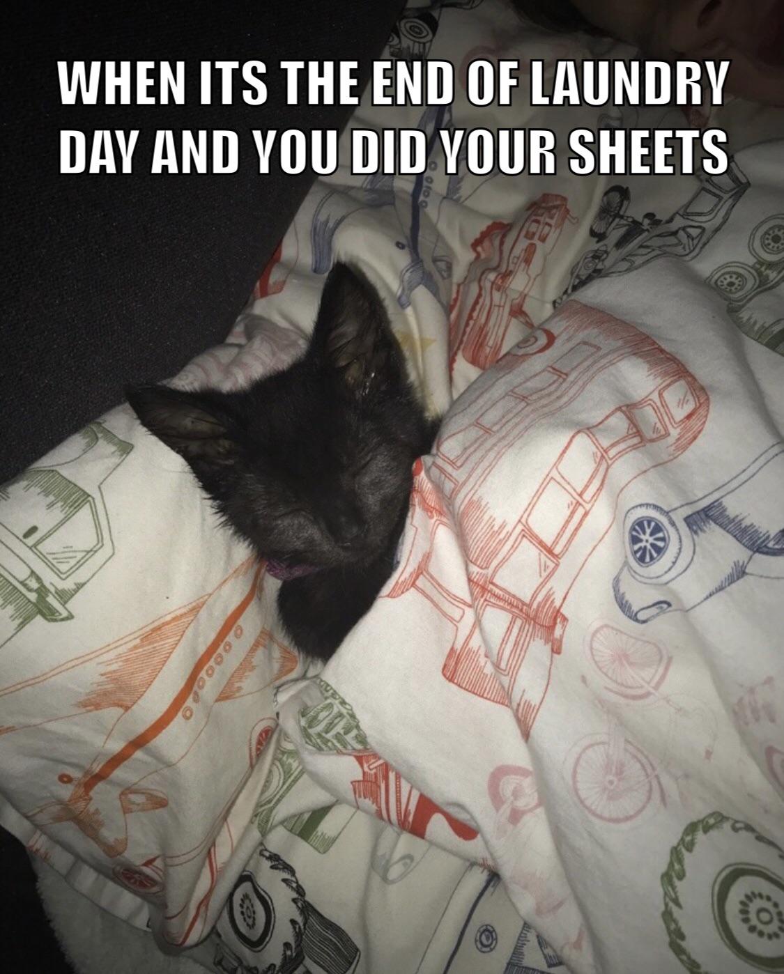 Clean sheets r/memes
