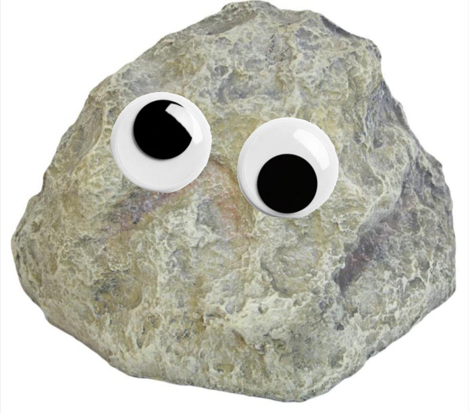 Rock With Googly Eyes