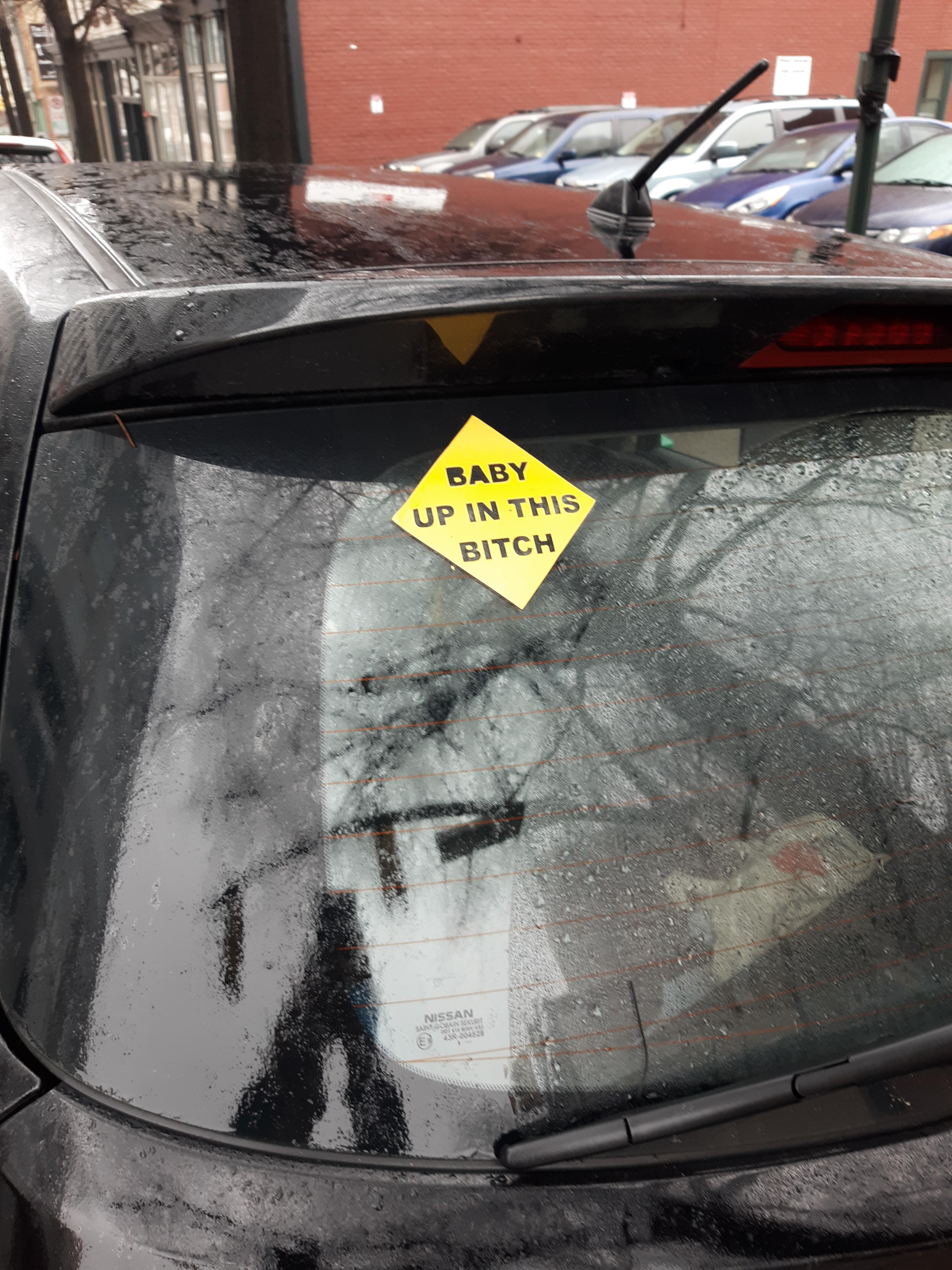 Best car sticker I've ever seen r/funny