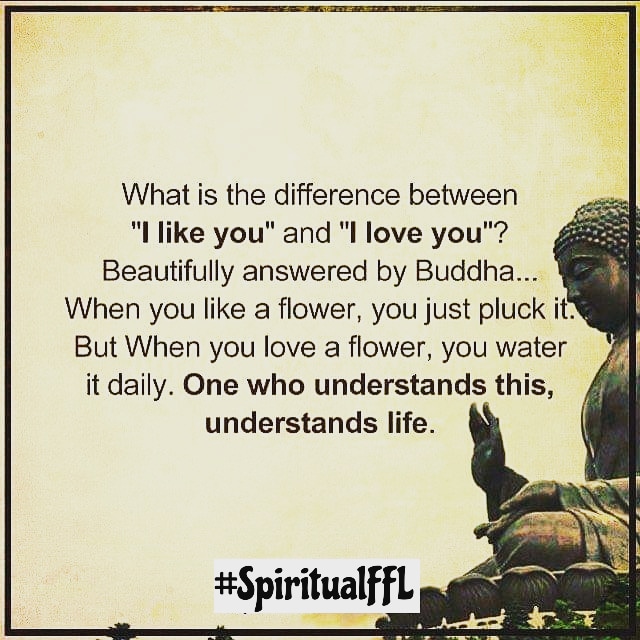 What is the difference between "I like you" and "I love you