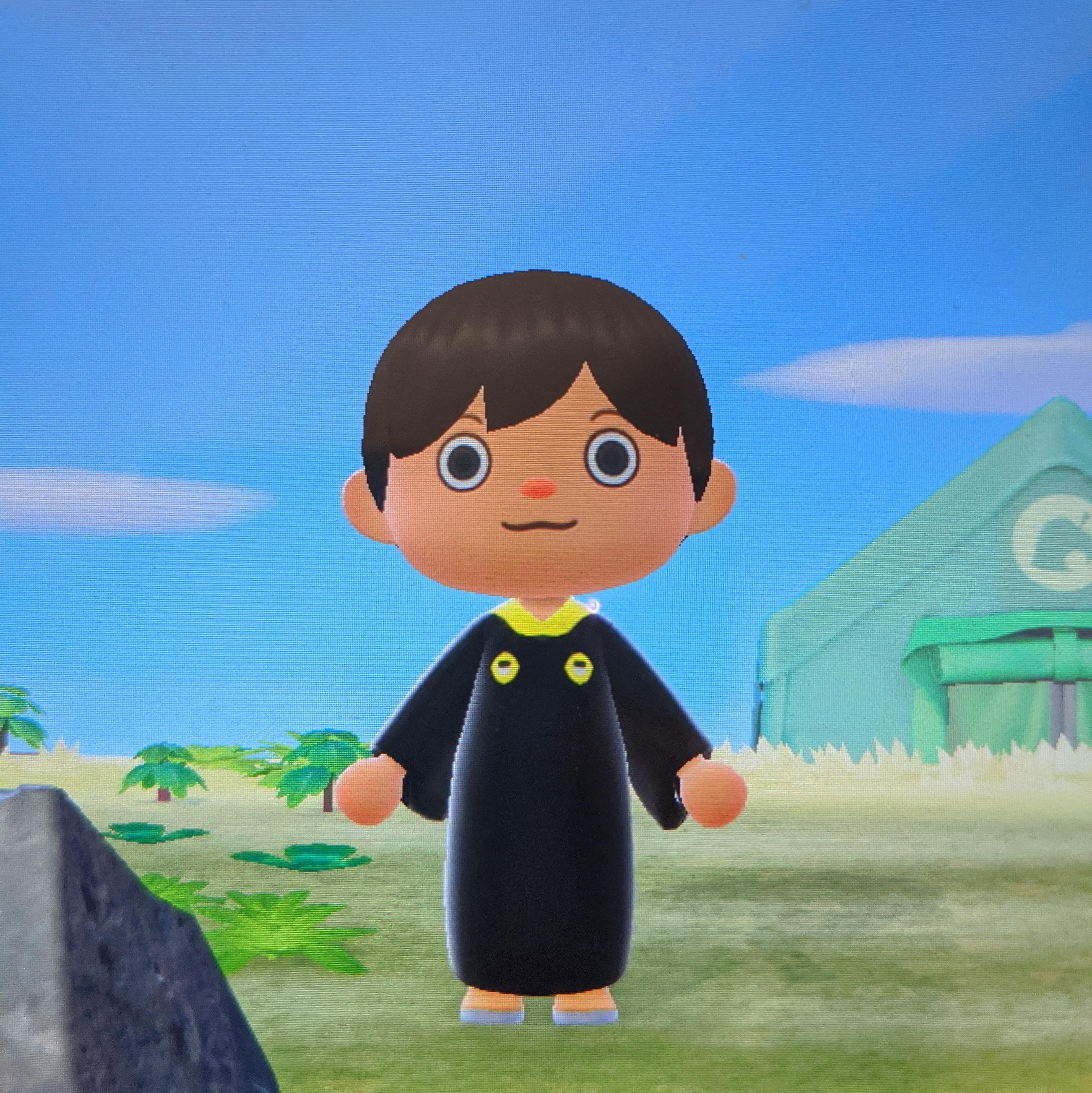 Commencement cancelled/delayed/etc? How about this? [Animal Crossing