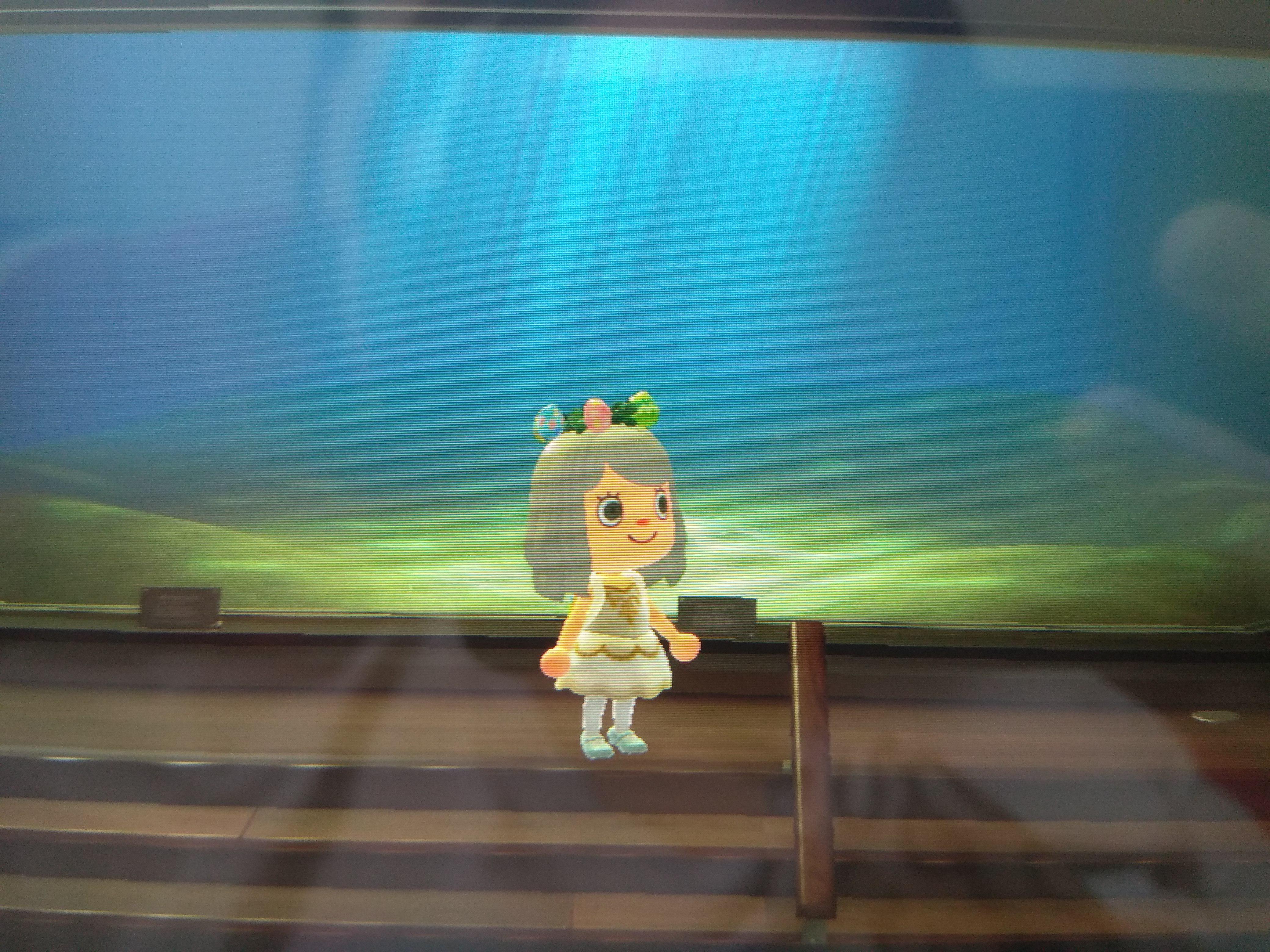 Has anyone got a fish for this tank ? r/AnimalCrossing