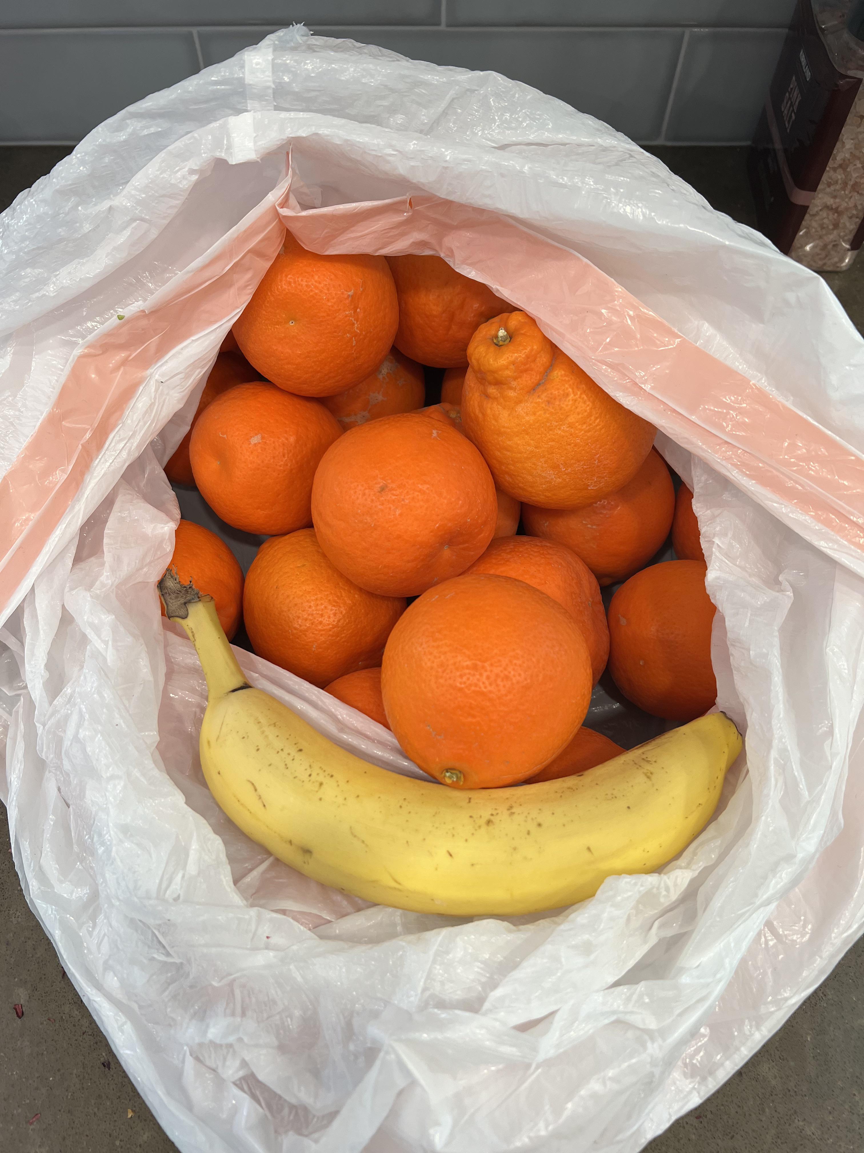 We were gifted half a trash bag of oranges! Besides juice and eating