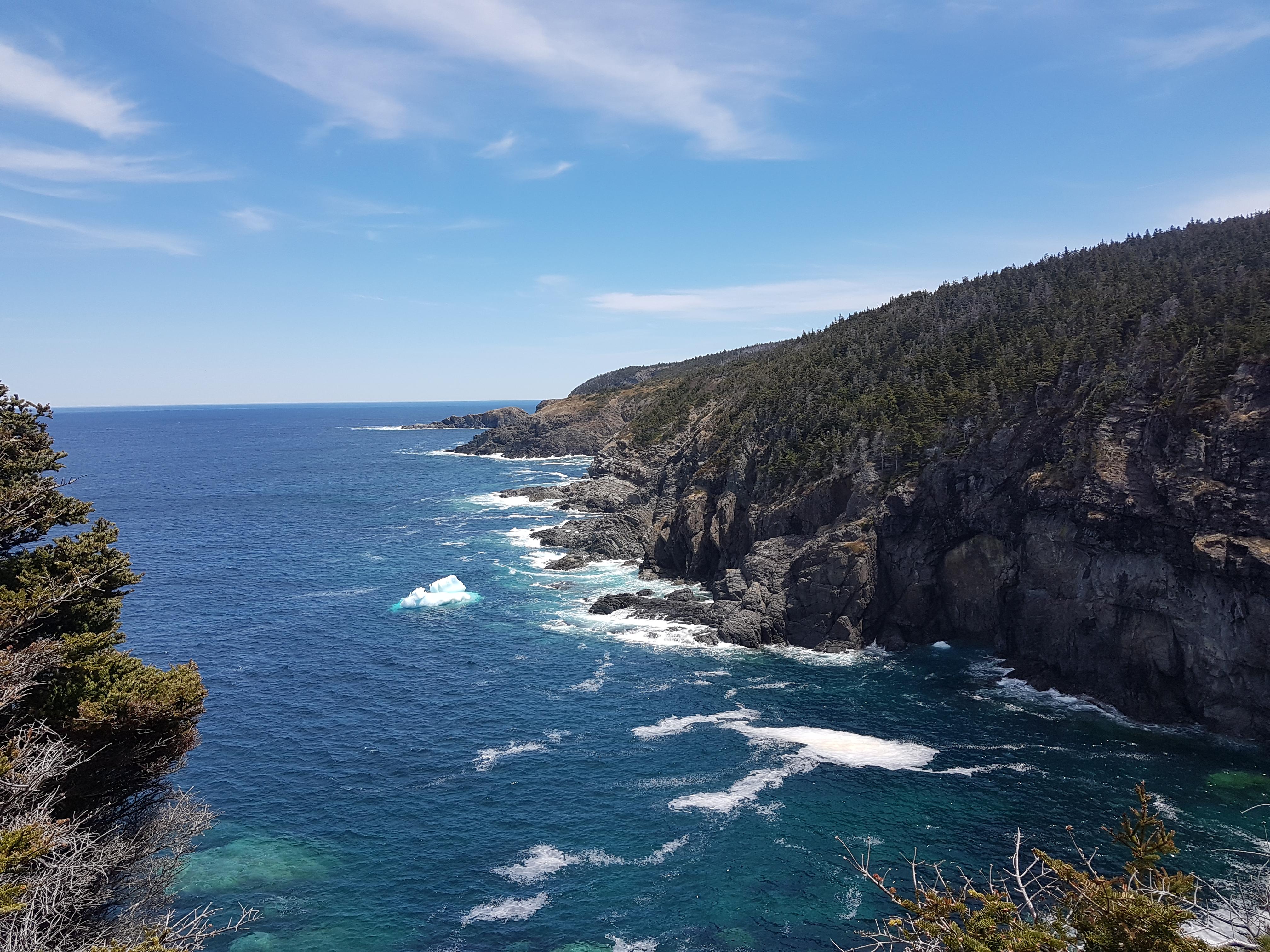 View from a hike on the East Coast Trail in Shoe Cove, Newfoundland