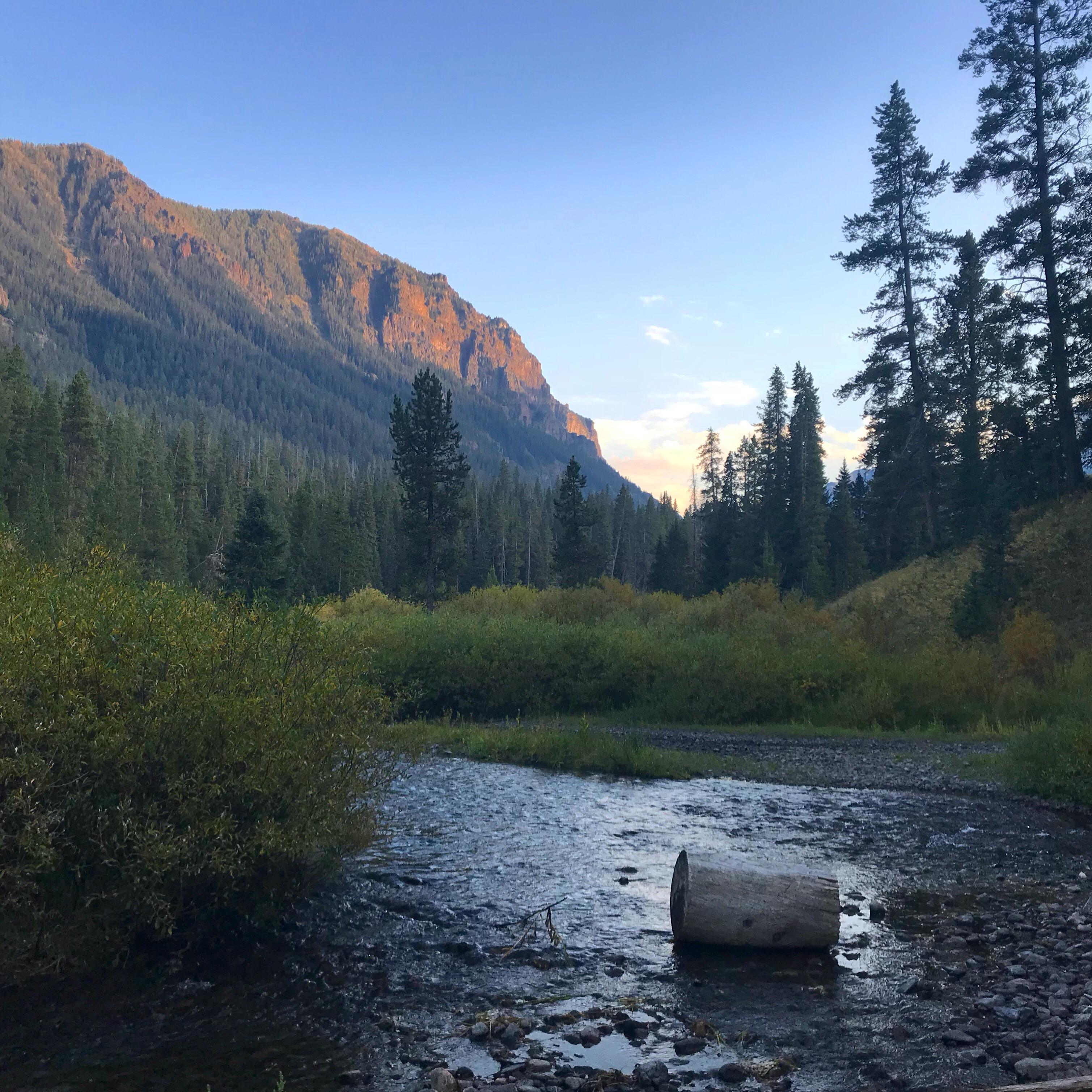Creek Stomping in Hyalite Canyon, MT. r/CampingandHiking