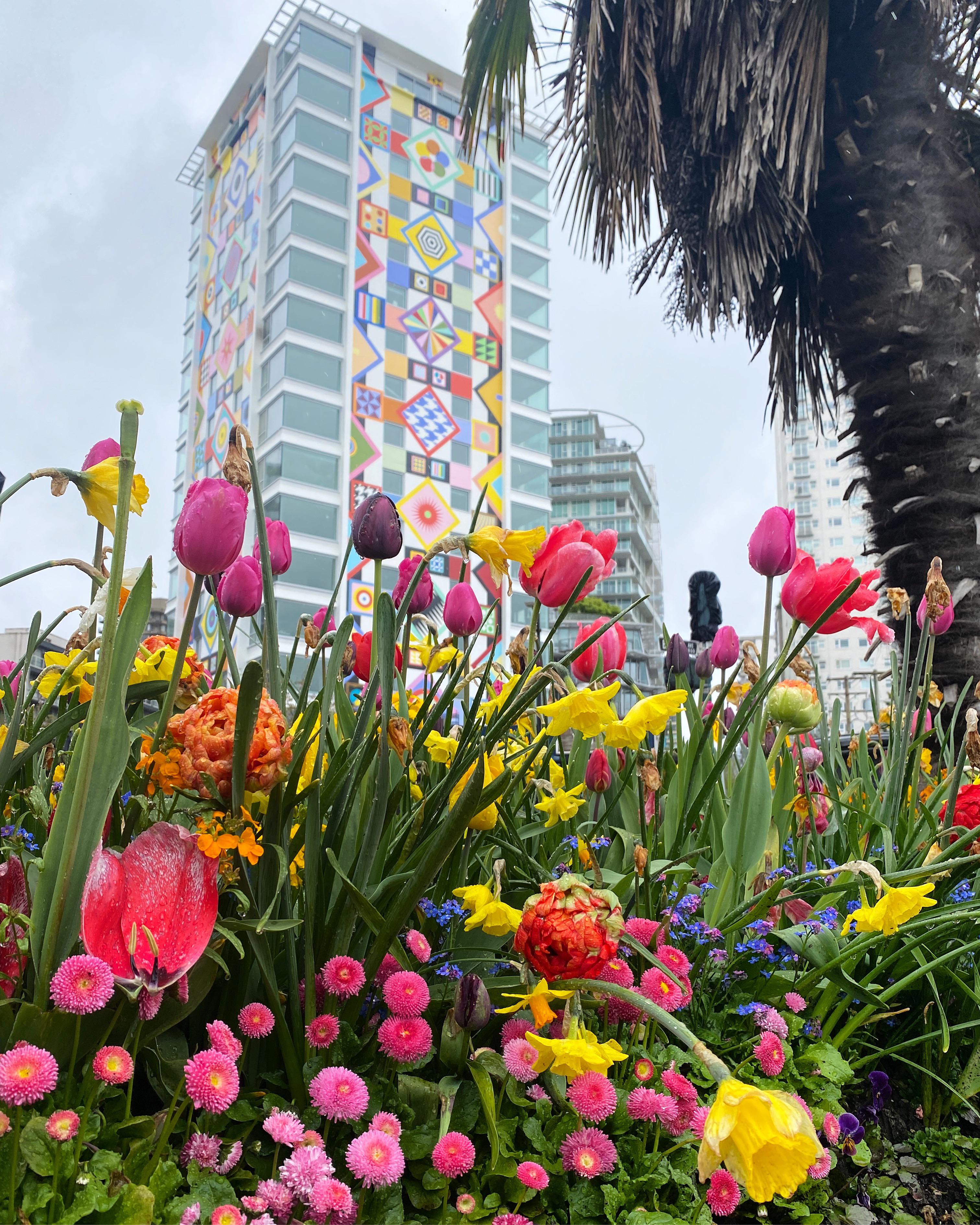 What’s nicer than a rose on your piano? r/vancouver