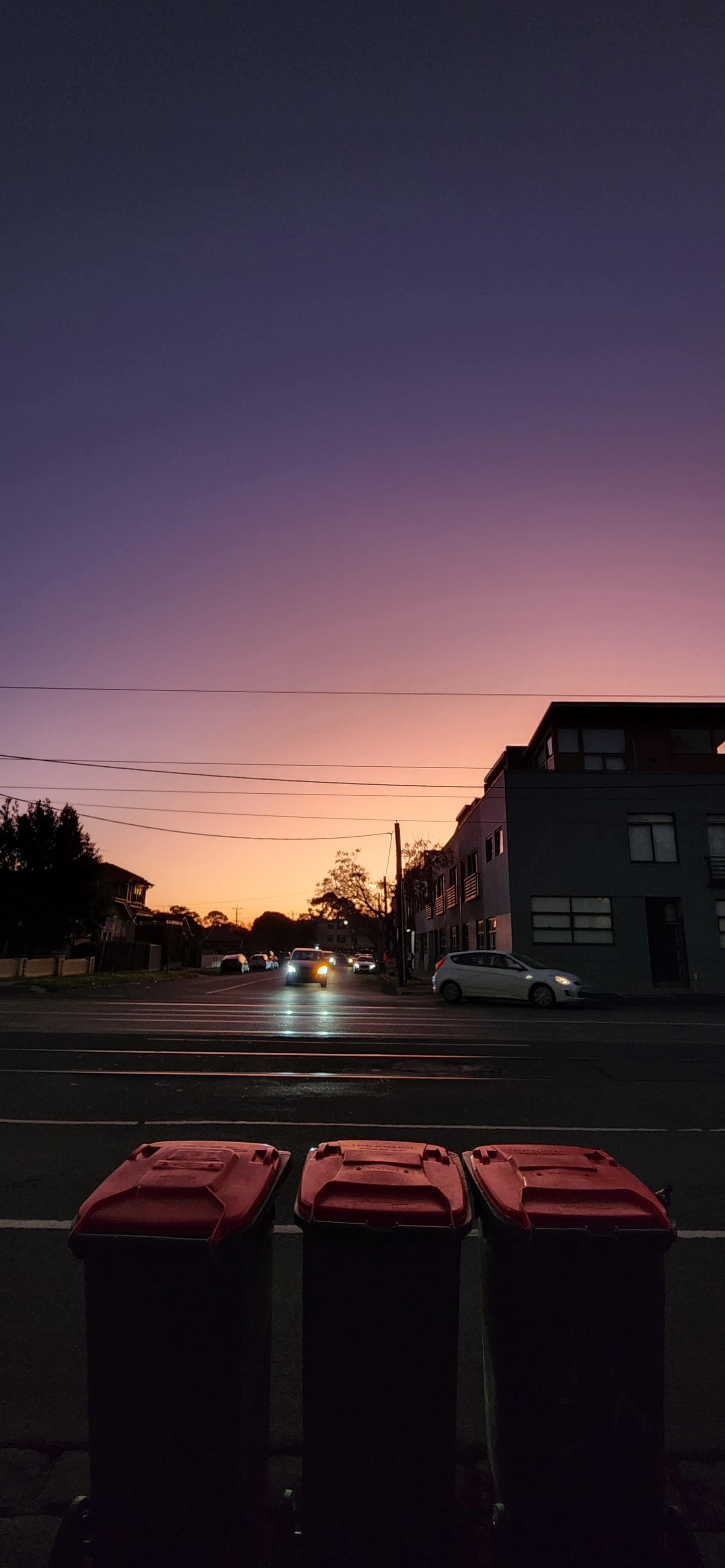 Just some of Melbourne's finest bins watching the sunset r/melbourne