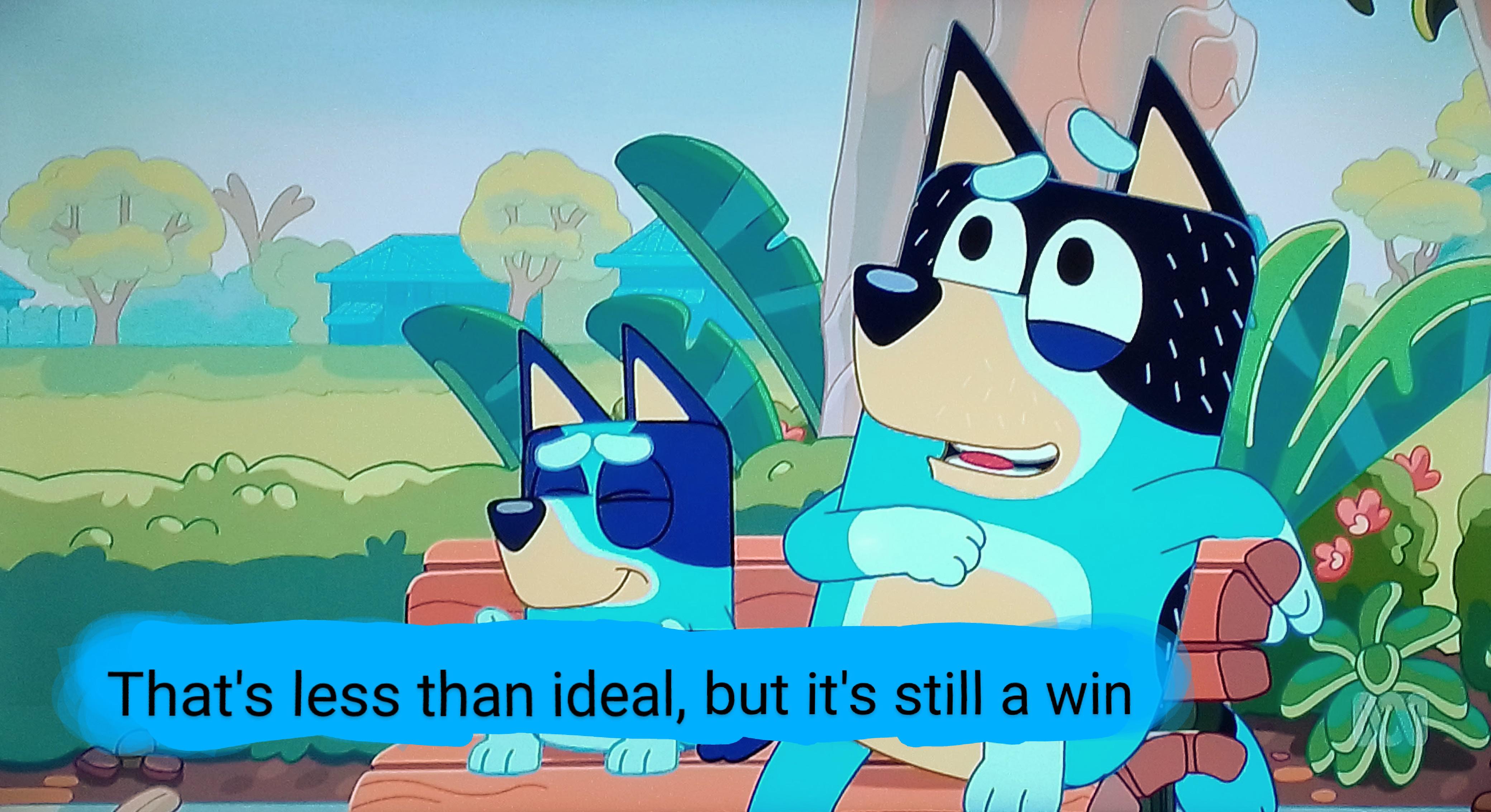 My favourite quote from Bluey... r/bluey