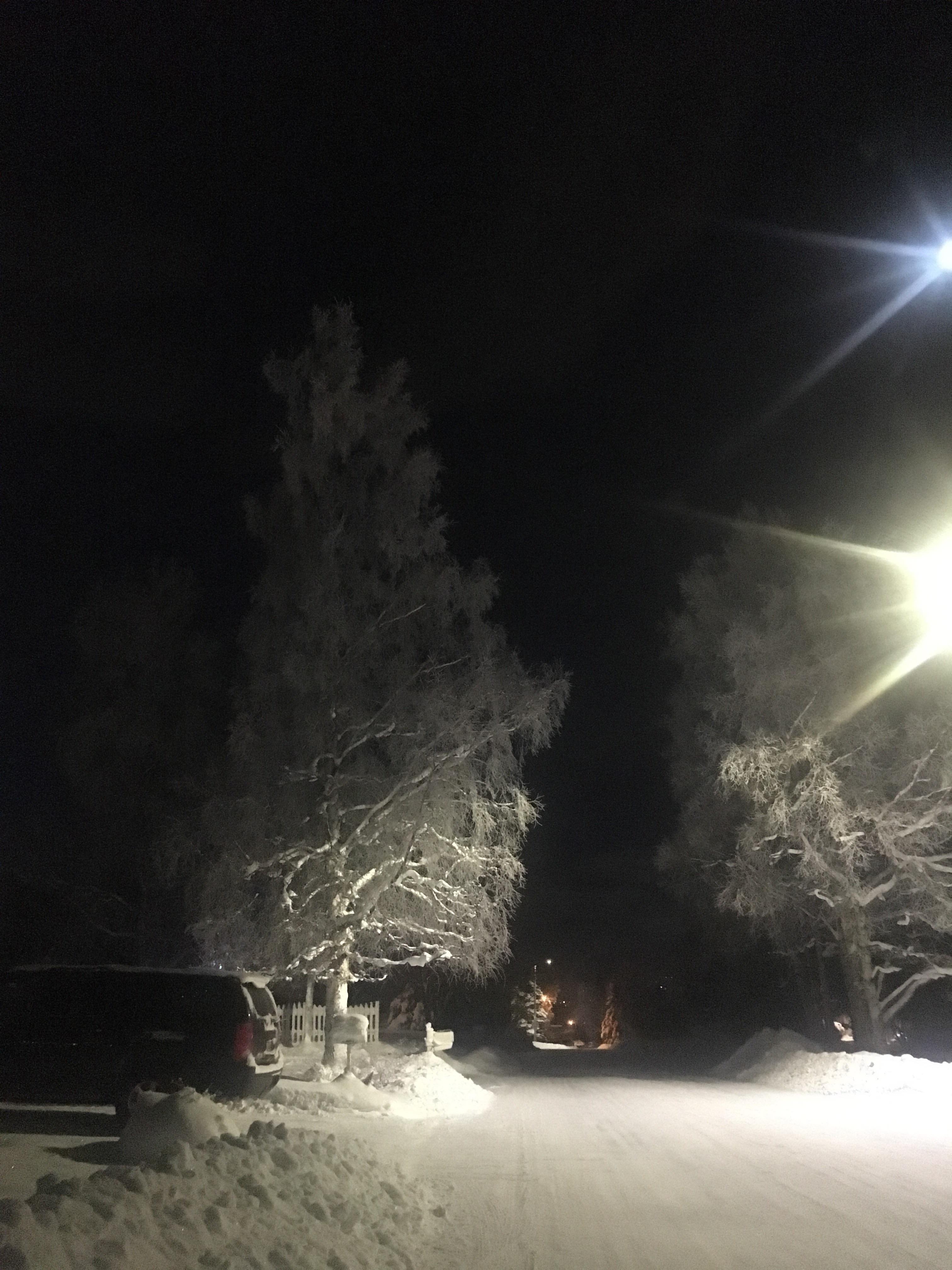 Frost, darkness and a street lamp r/alaska