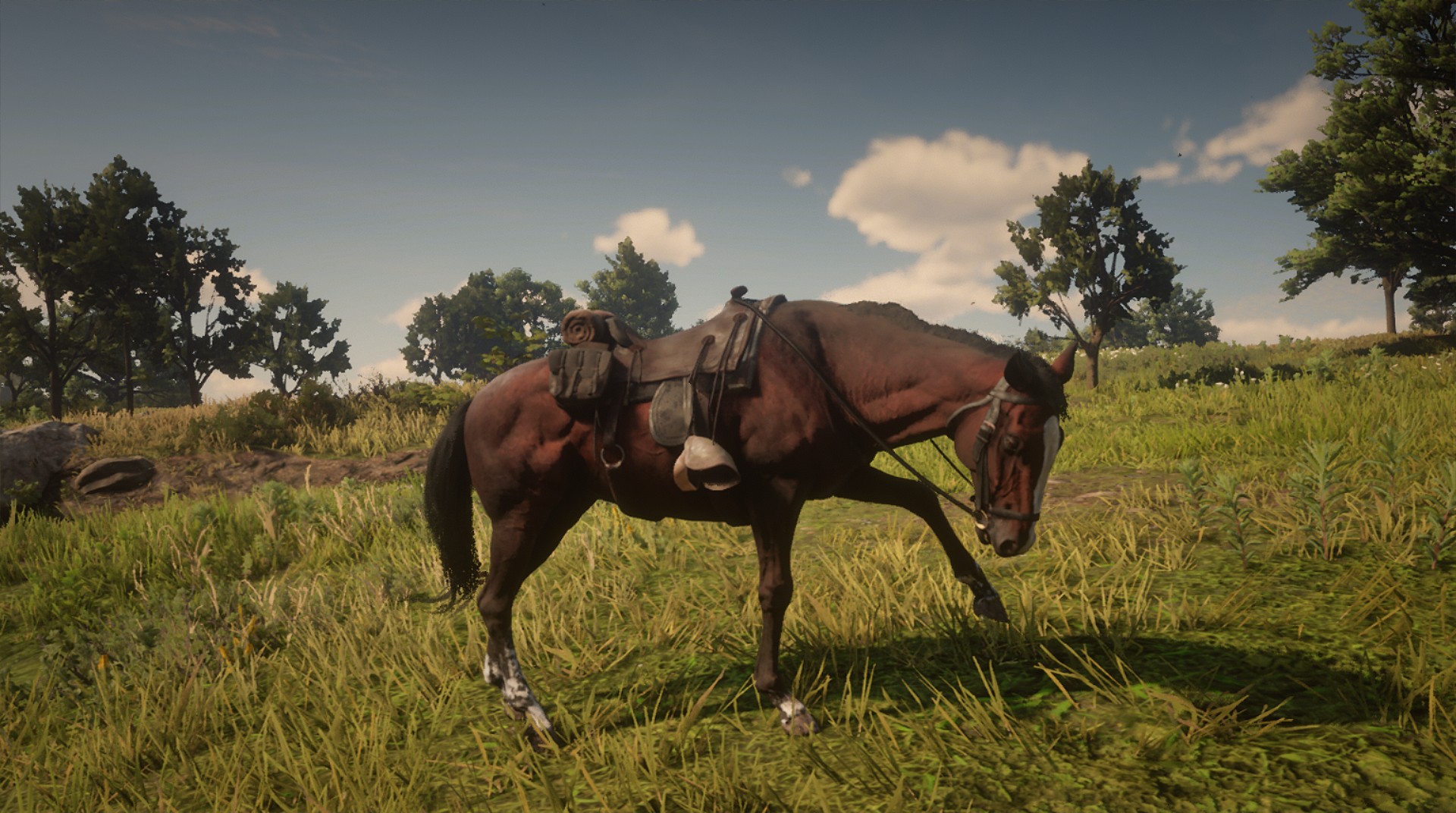 My thoroughbred horse, Red. r/RDR2