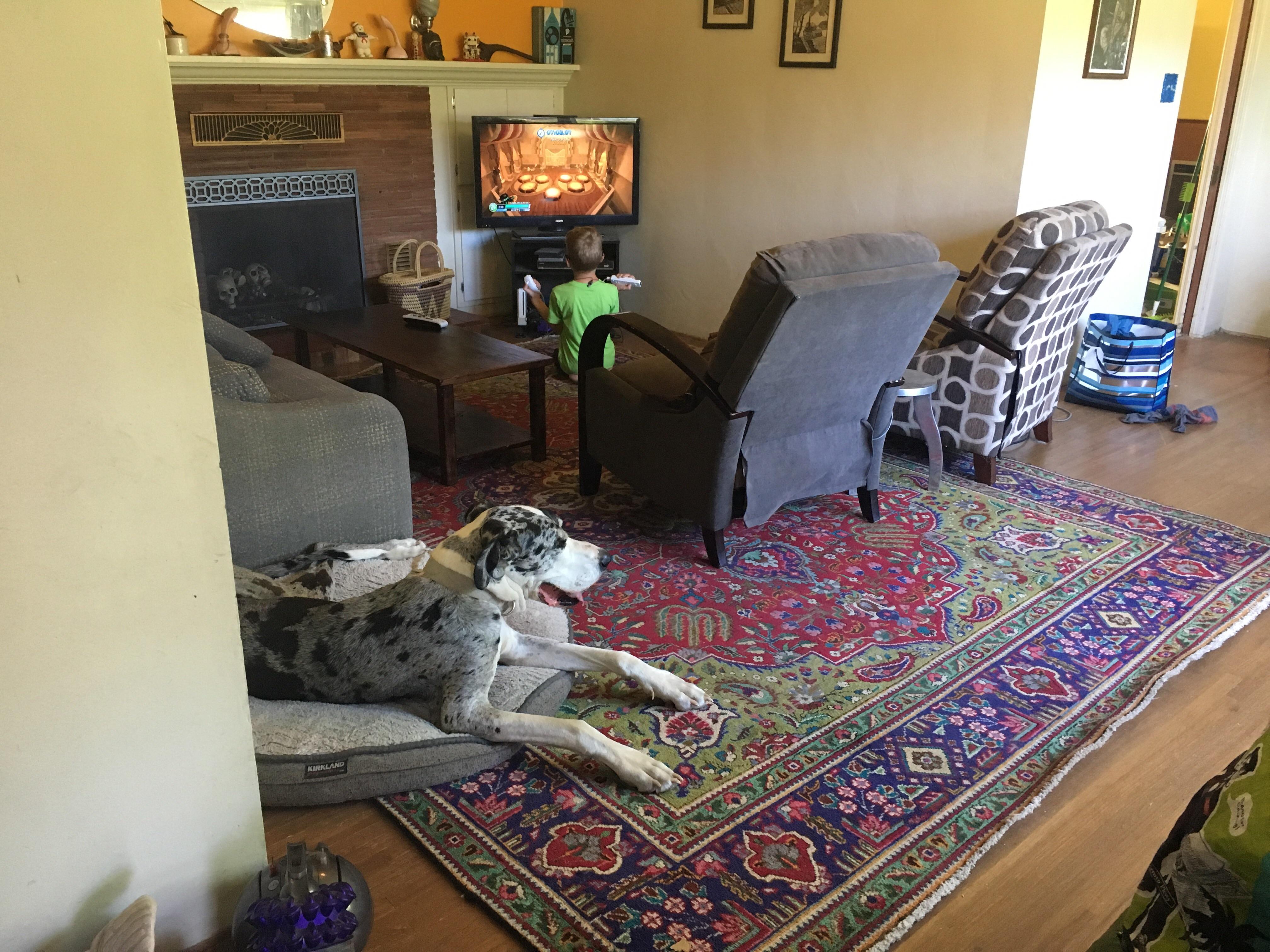 Found this amazing gigantic natural fiber rug at Habitat for Humanity. 45! Another customer