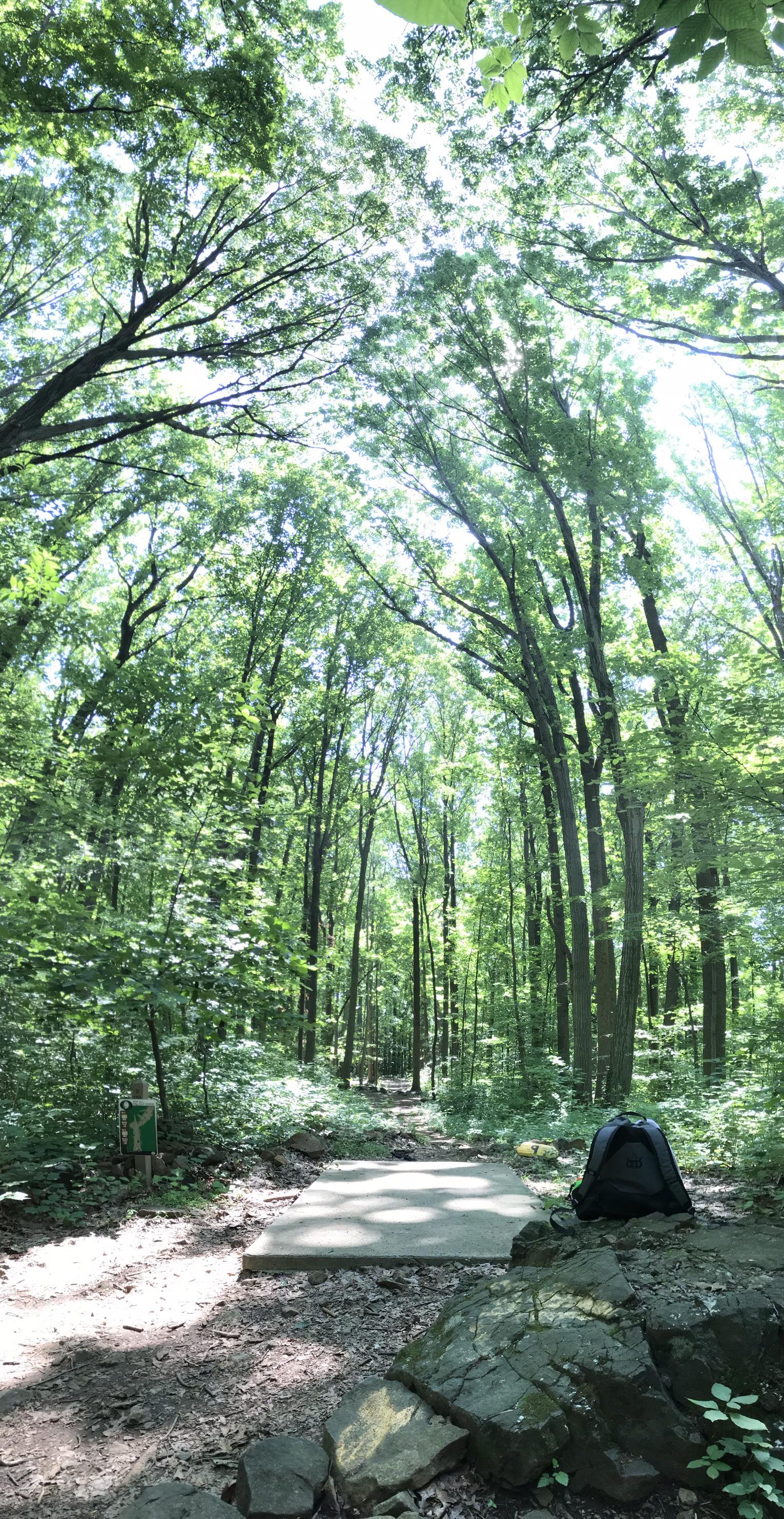 Iron Hill, hole 9. It’s a perfect day in disc golf heaven! r/discgolf