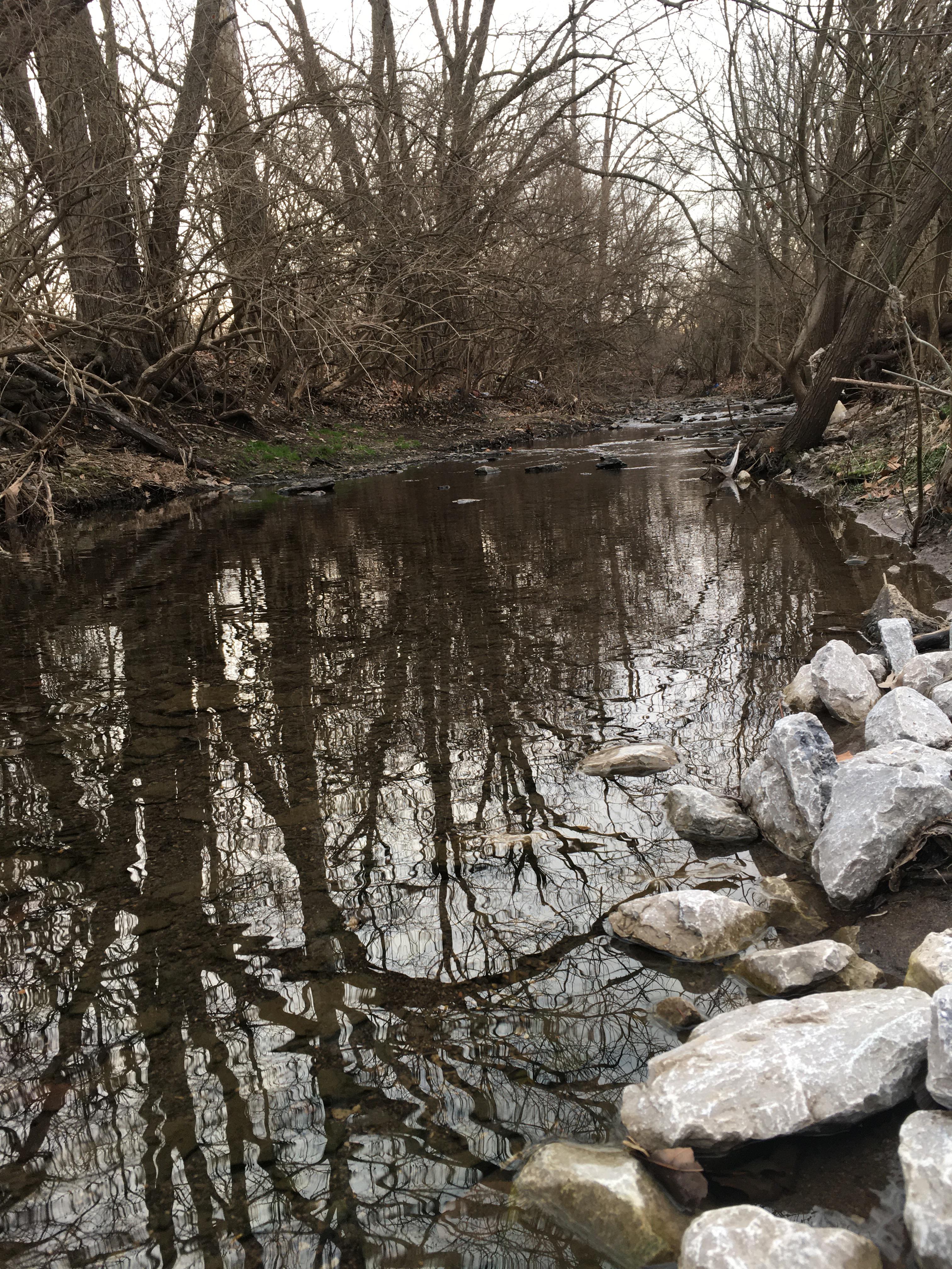 Lexington Wilderness. Valley Park. A hidden gem. r/lexington