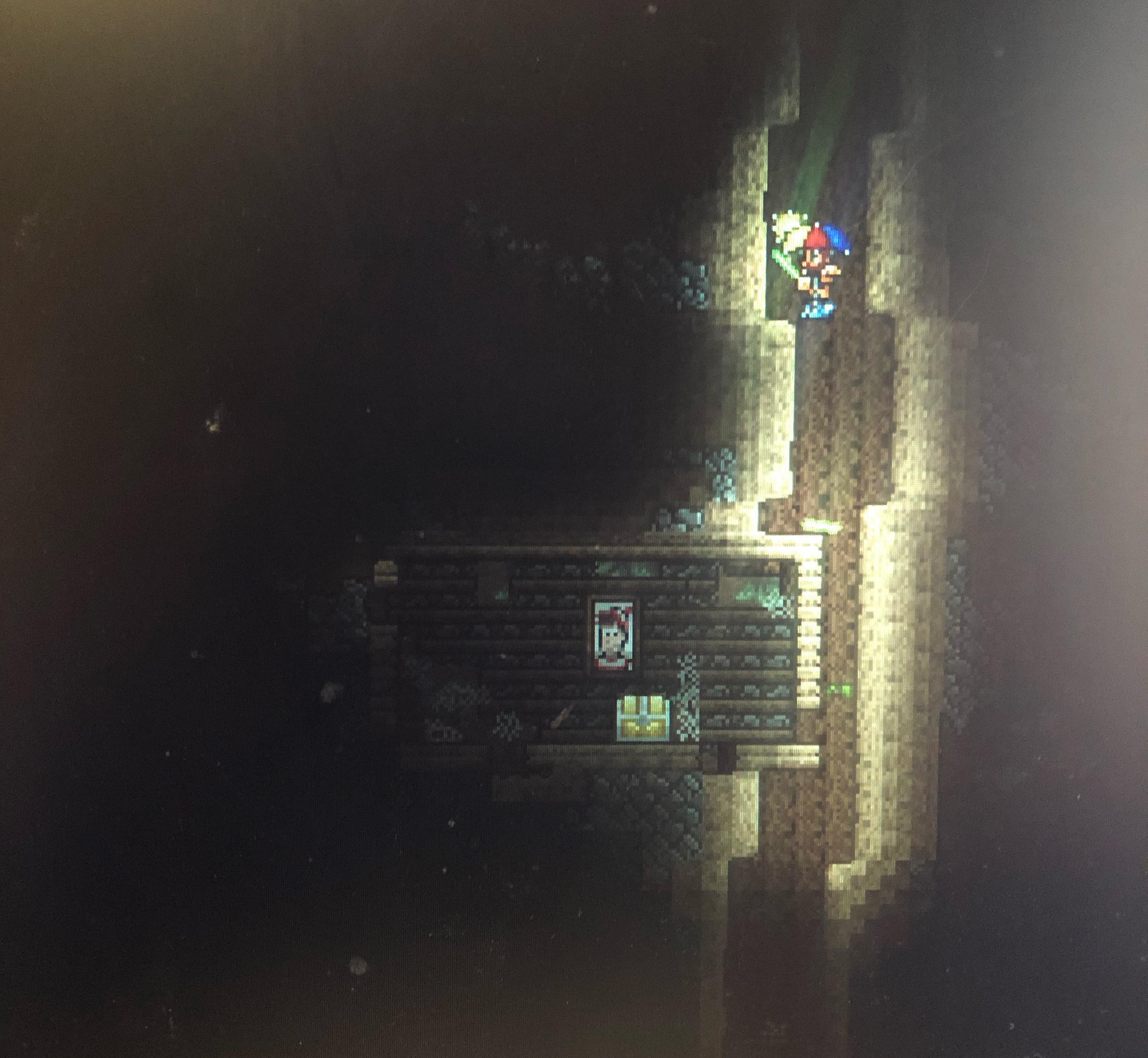 The gnomes are evolving 💀 r/Terraria