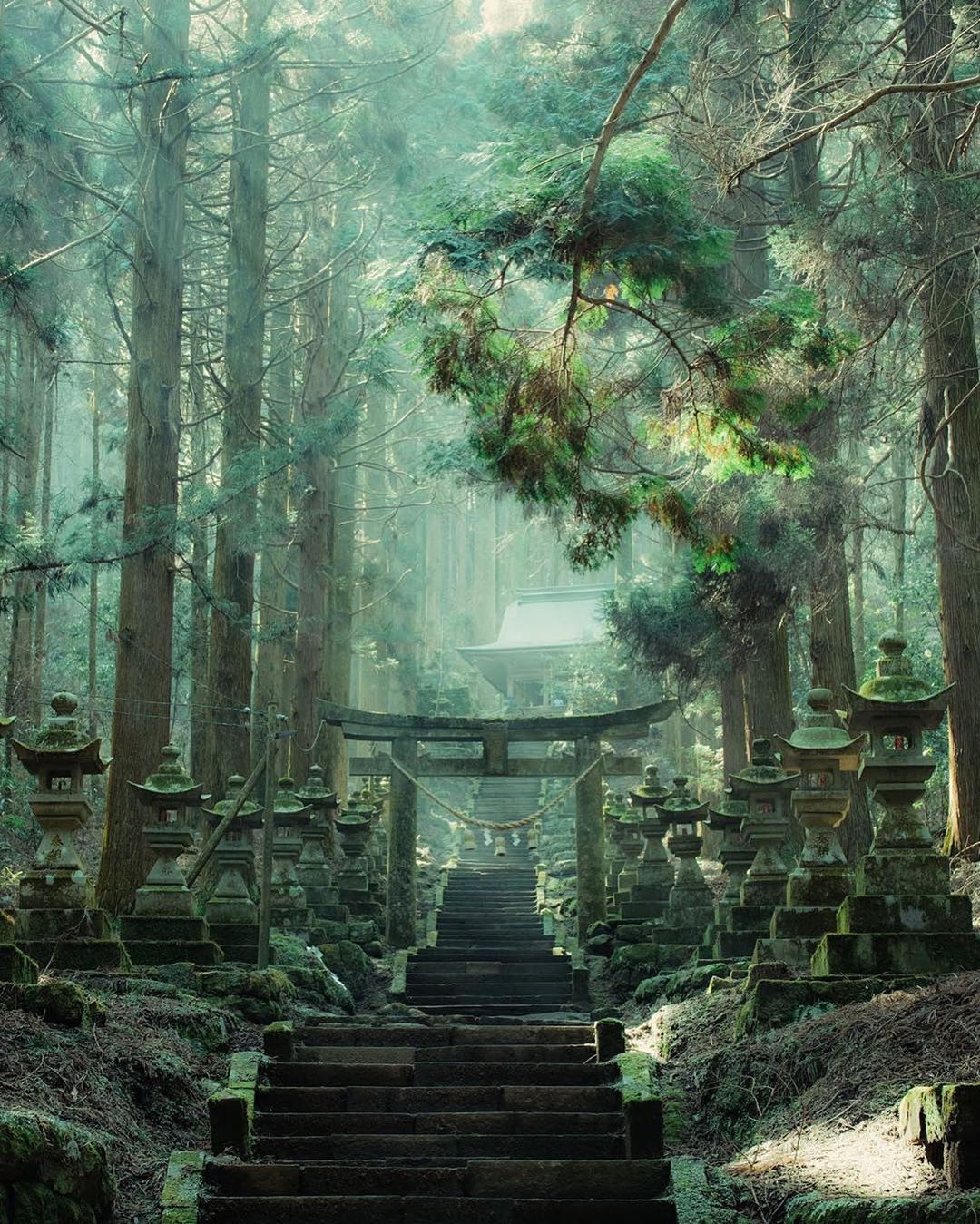 🔥 Mystical Shrine Takamori, Japan. r/NatureIsFuckingLit