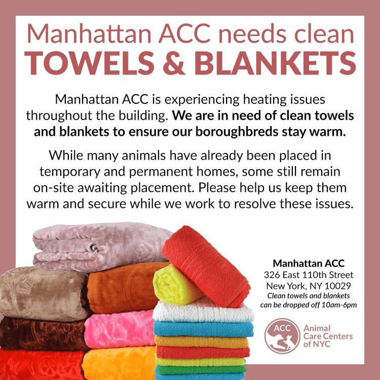 Animal Shelter w/o Heat bring your blankets and towels please 12/3