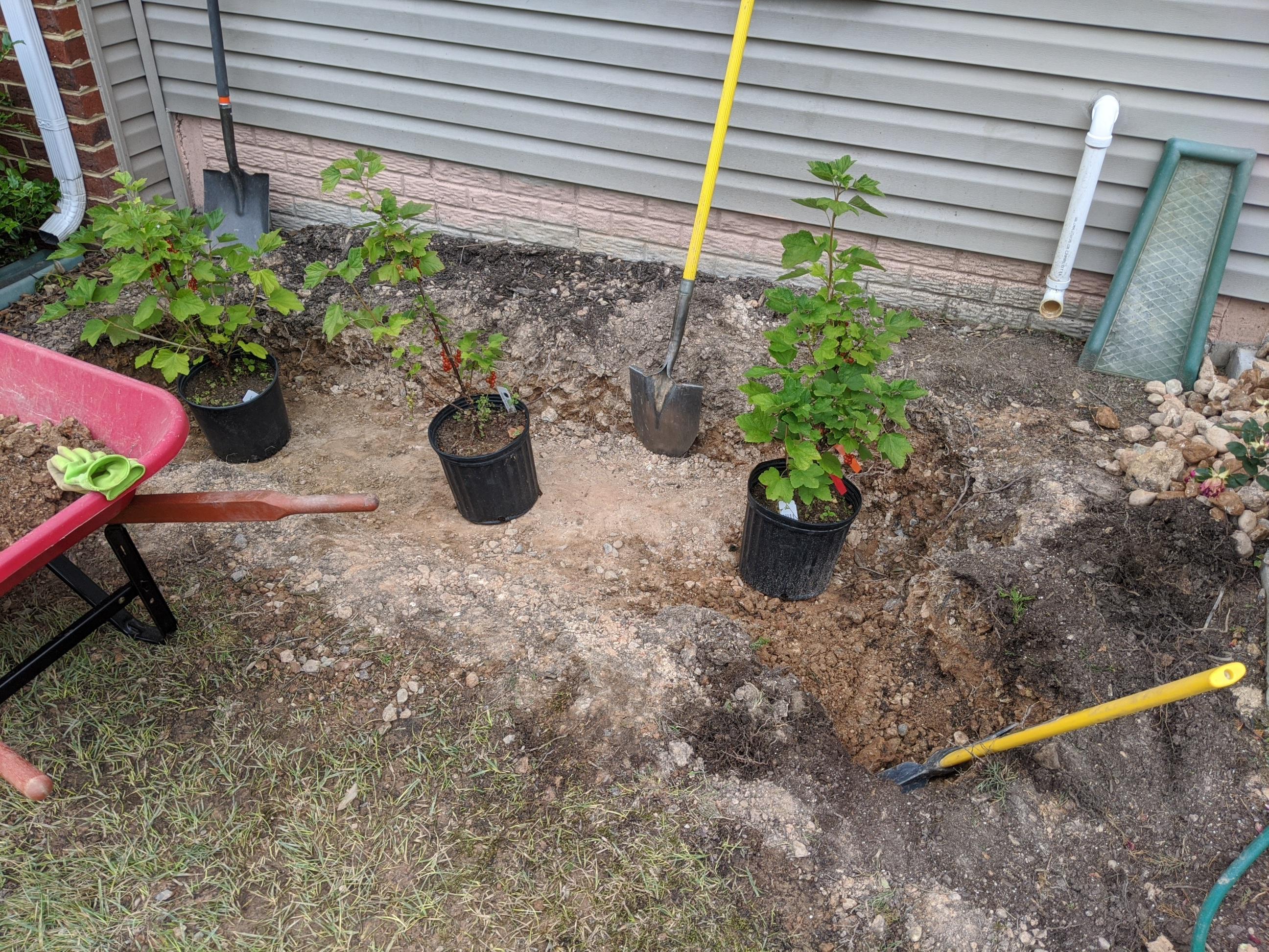 Do I need drainage? r/gardening