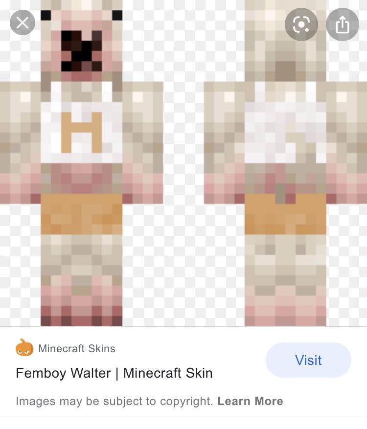 Femboy Walter Minecraft r/walterlore