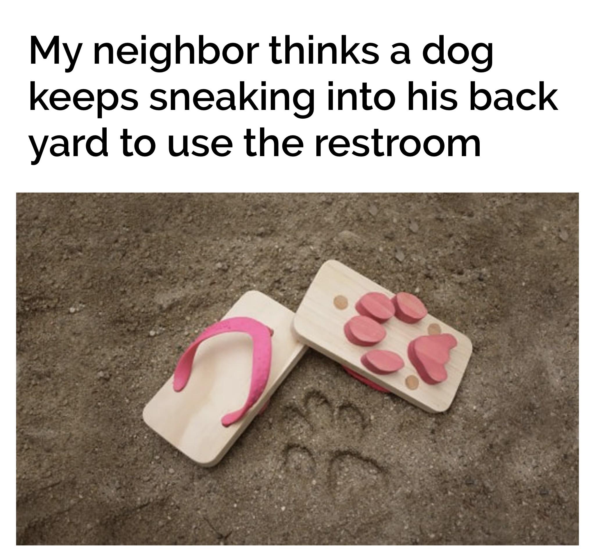 Looks like a dog, smells like a dog… r/HolUp