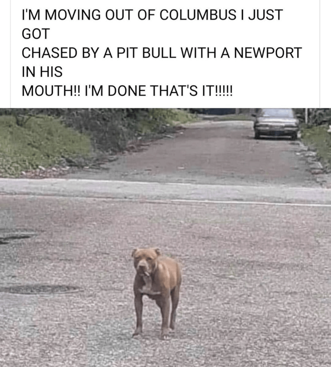 2417 best Newport images on Pholder Cities Skylines, Warship Porn and