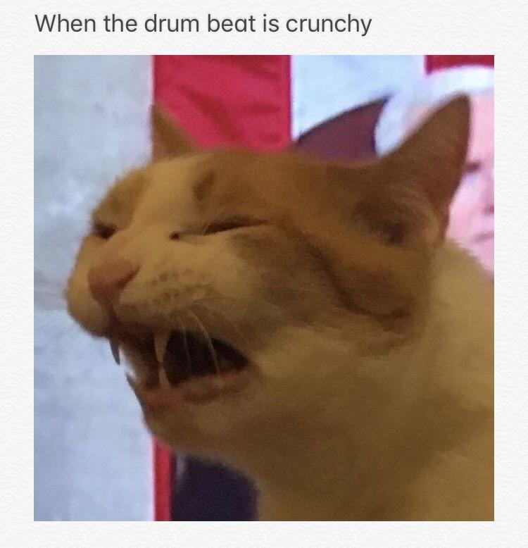 We need more memes on here Synesthesia