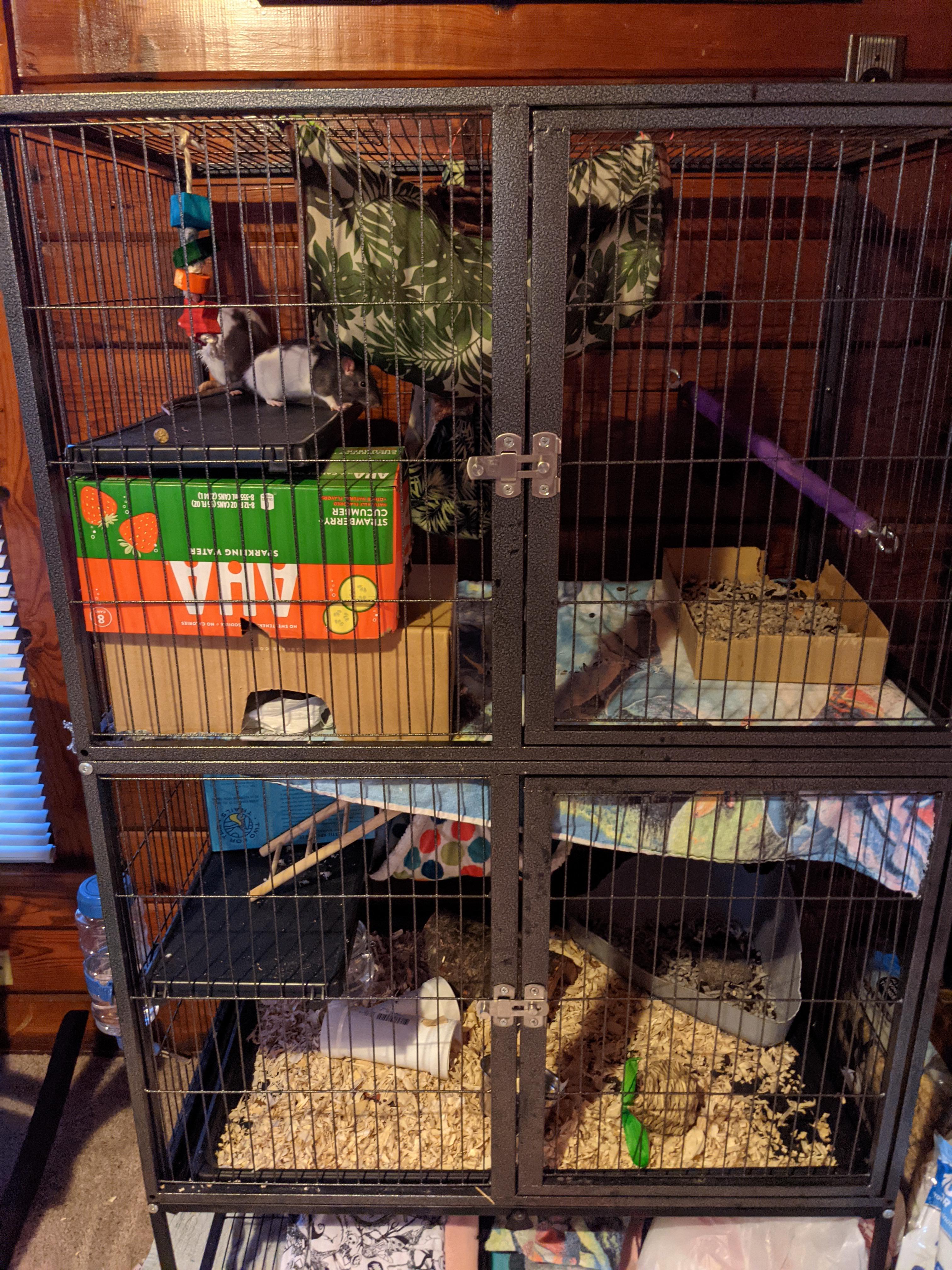 Anyone else have issues with cleaning critter nation cage? After