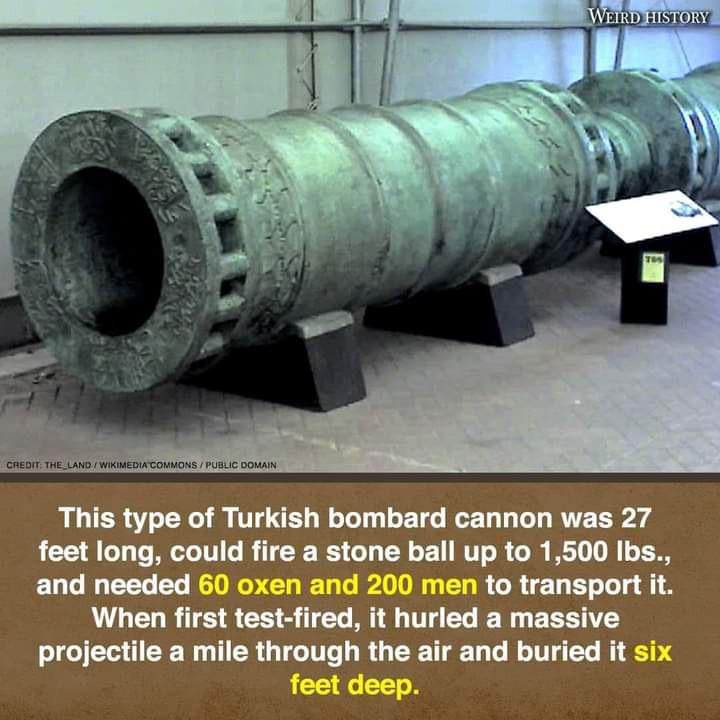 A Turkish cannon. r/aoe3