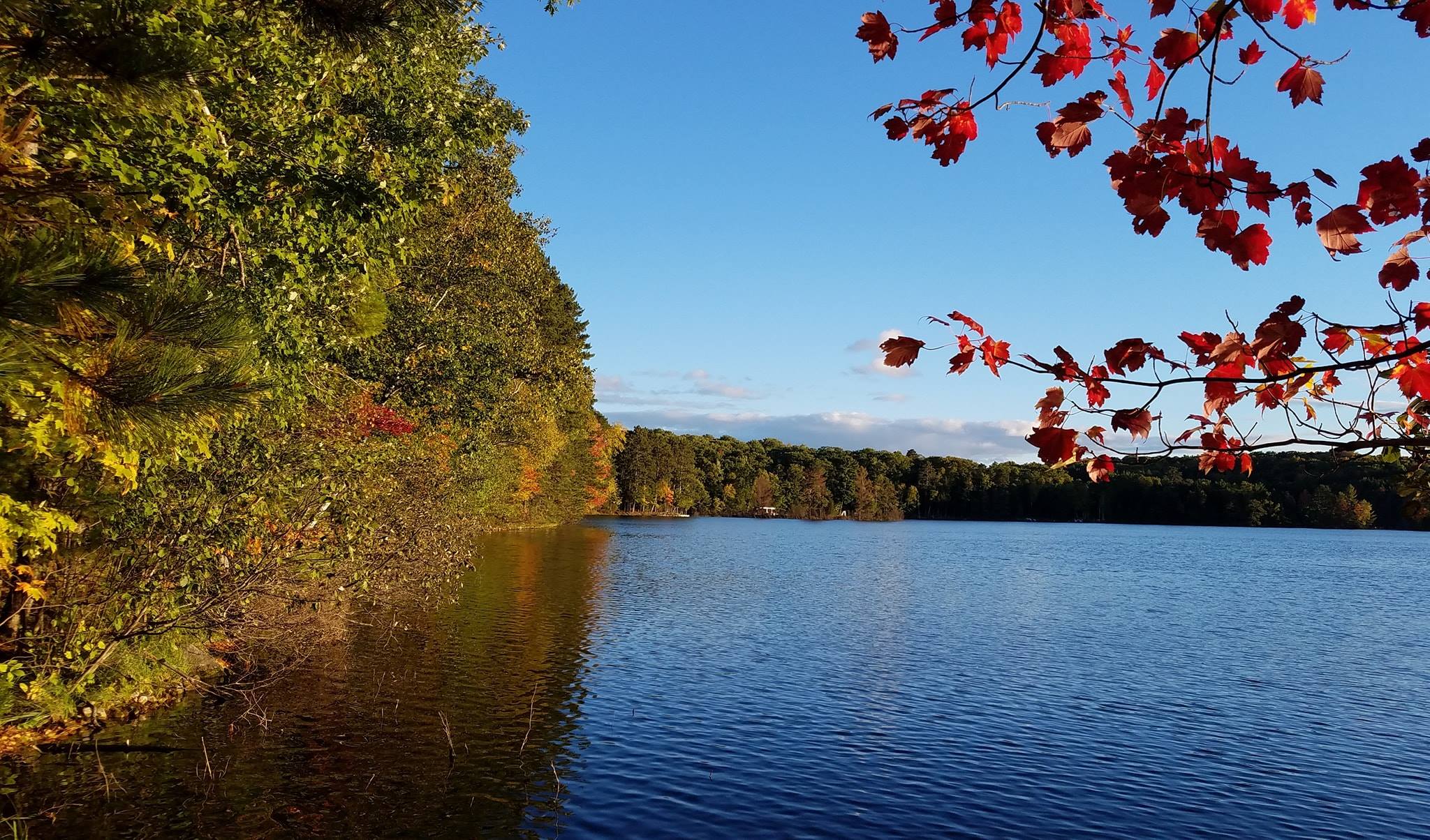 Northwoods of Wisconsin Outdoors