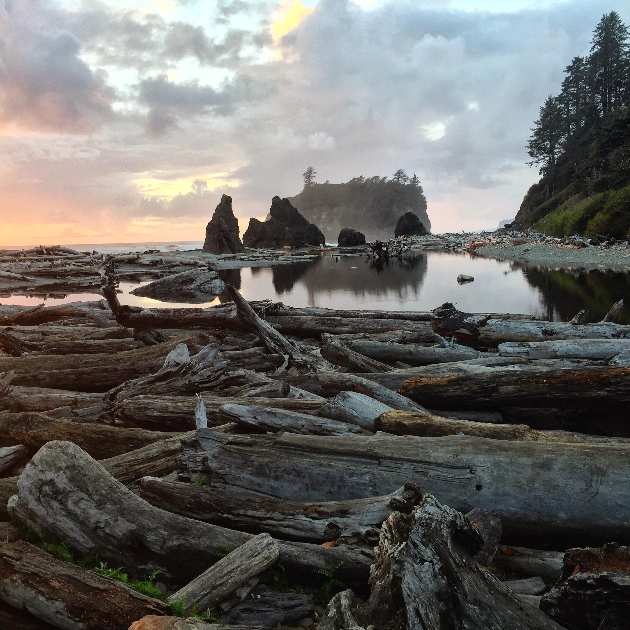 Sunset at Ruby Beach, WA [OC] [2448 x 2448] r/EarthPorn