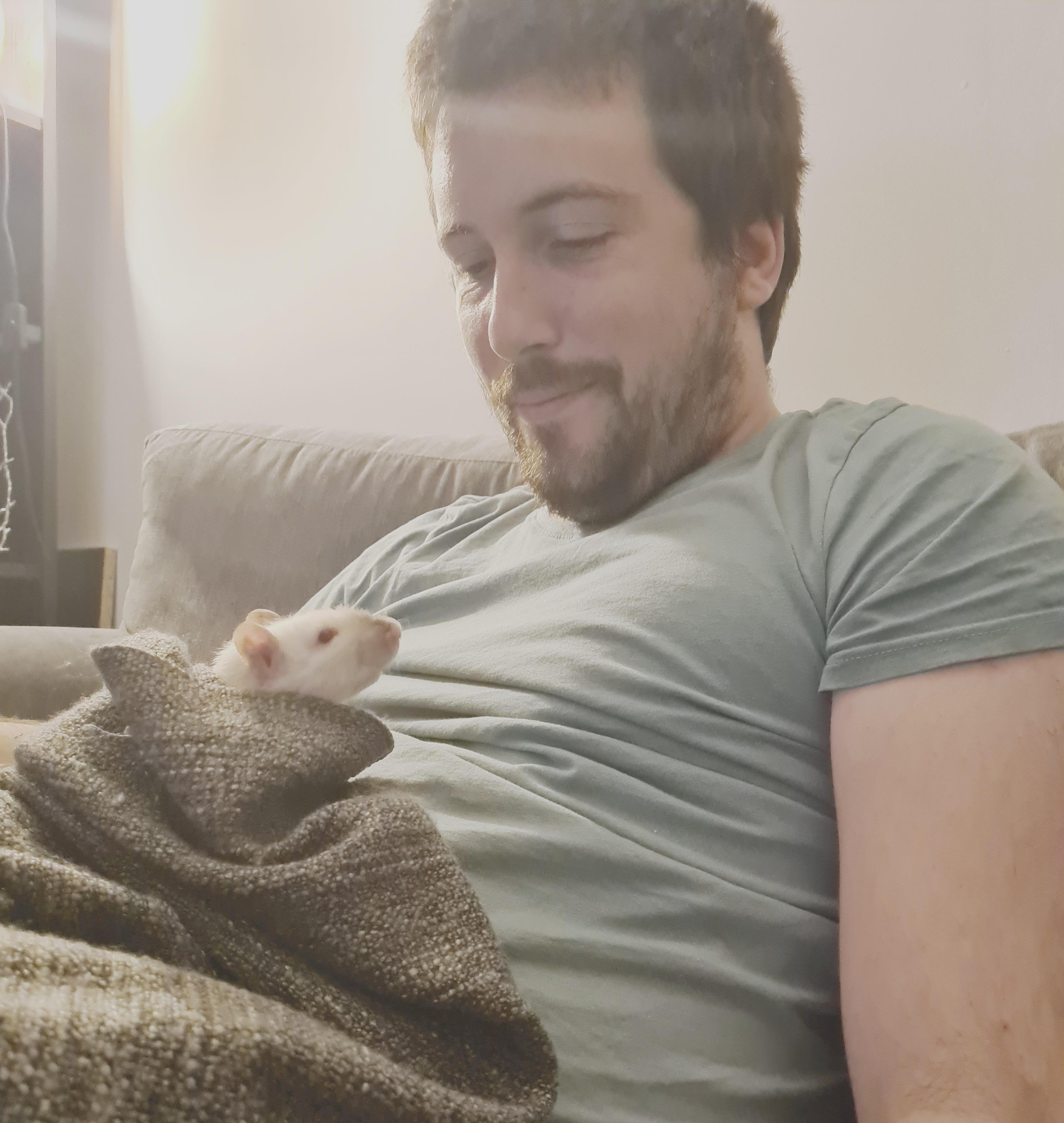 My boy moog enjoying some sofa time with his papa. r/RATS