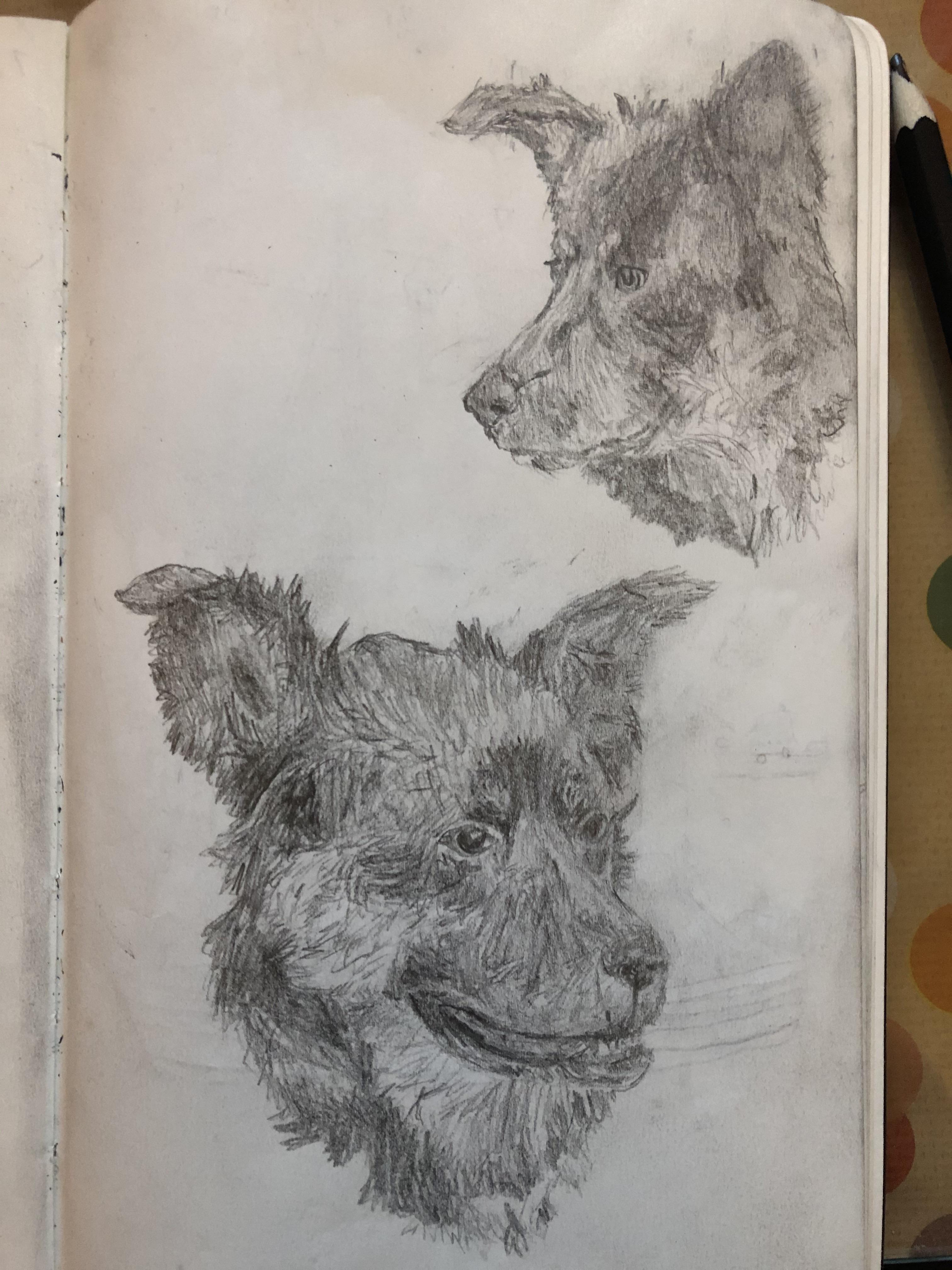 Ethan dog Spencer ) r/CrankGameplays