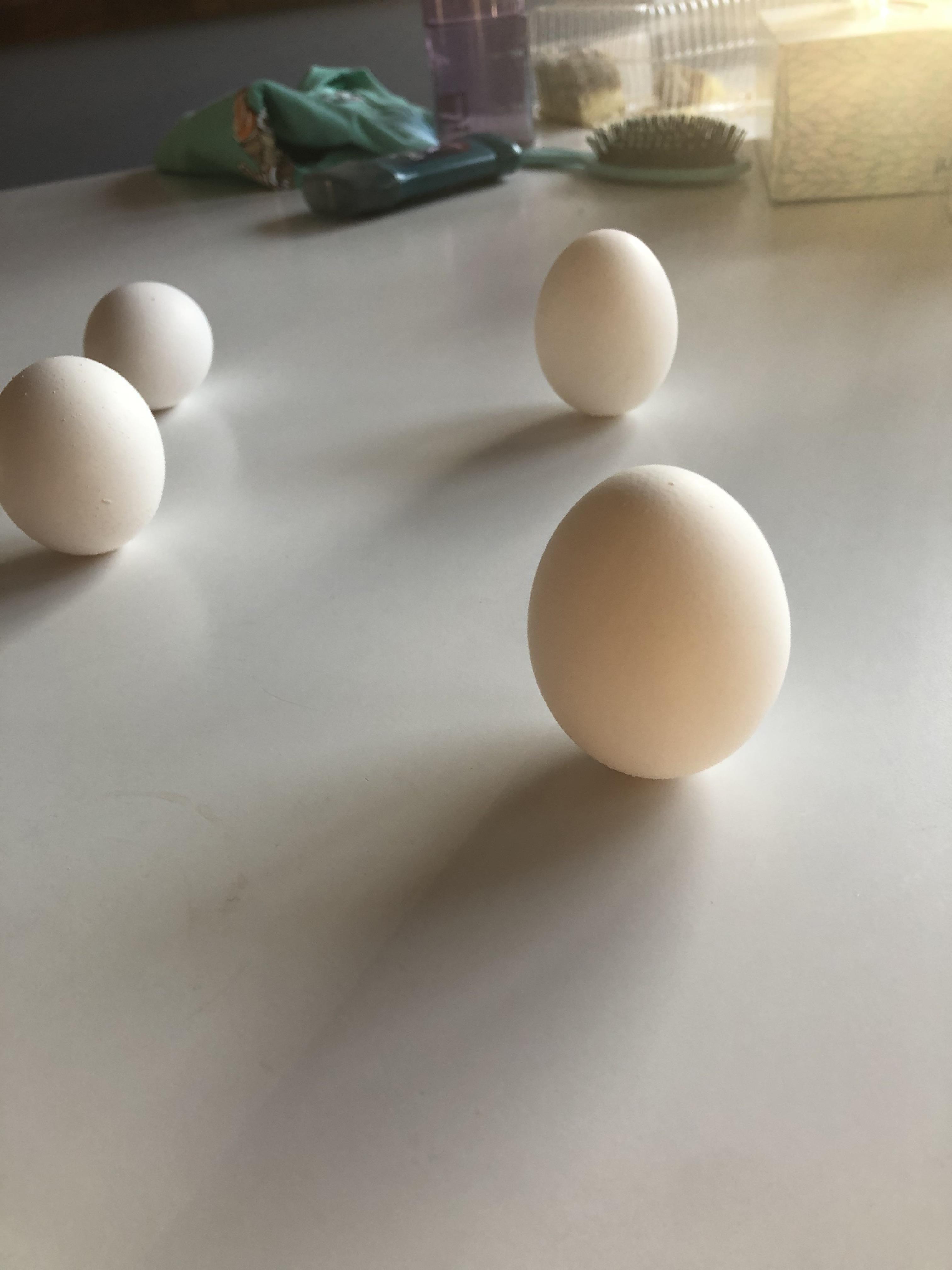 You can make eggs stand up during the spring equinox r/mildlyinteresting