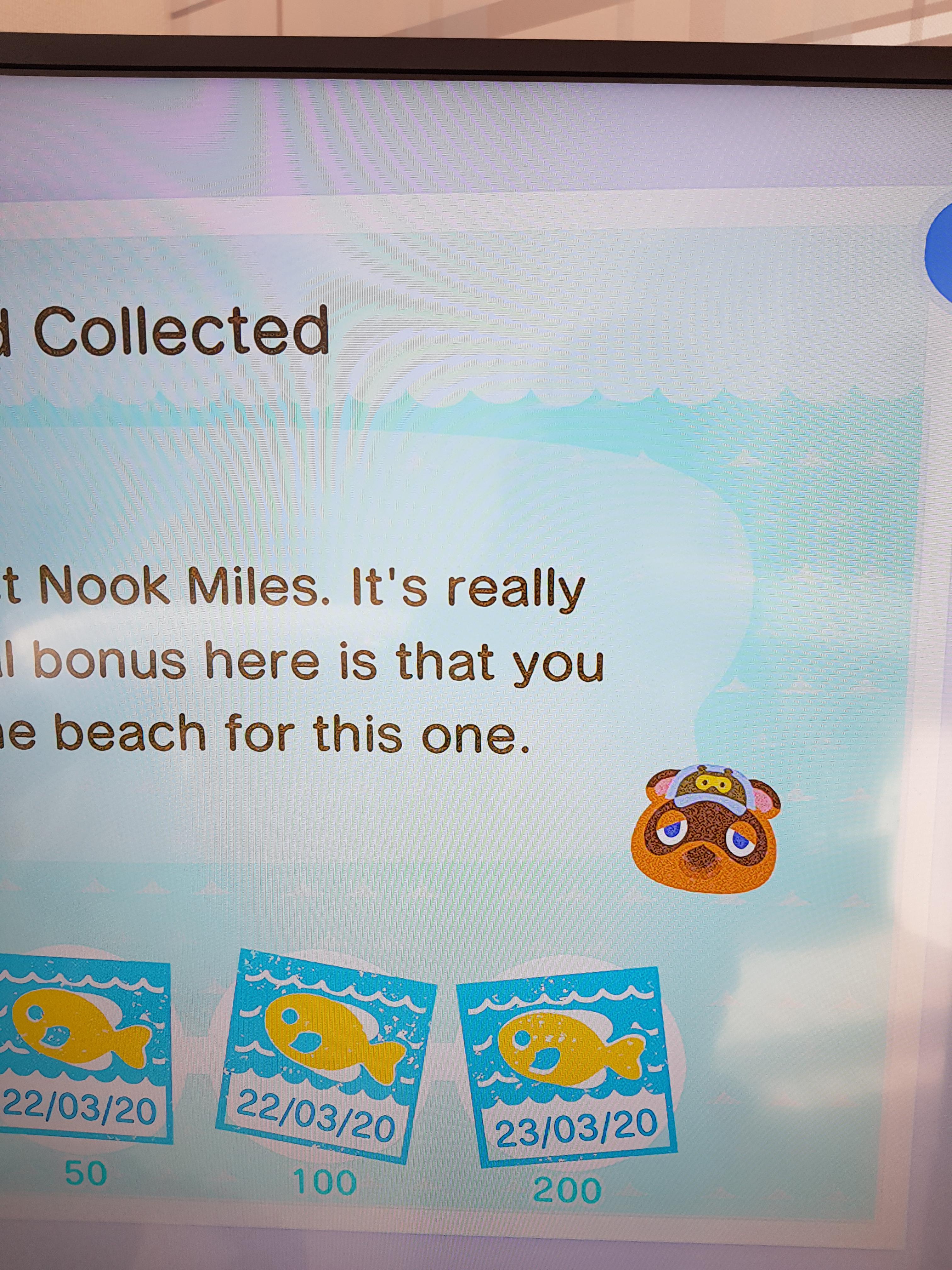 Finished a whole set of nook mile challenges! r/AnimalCrossing