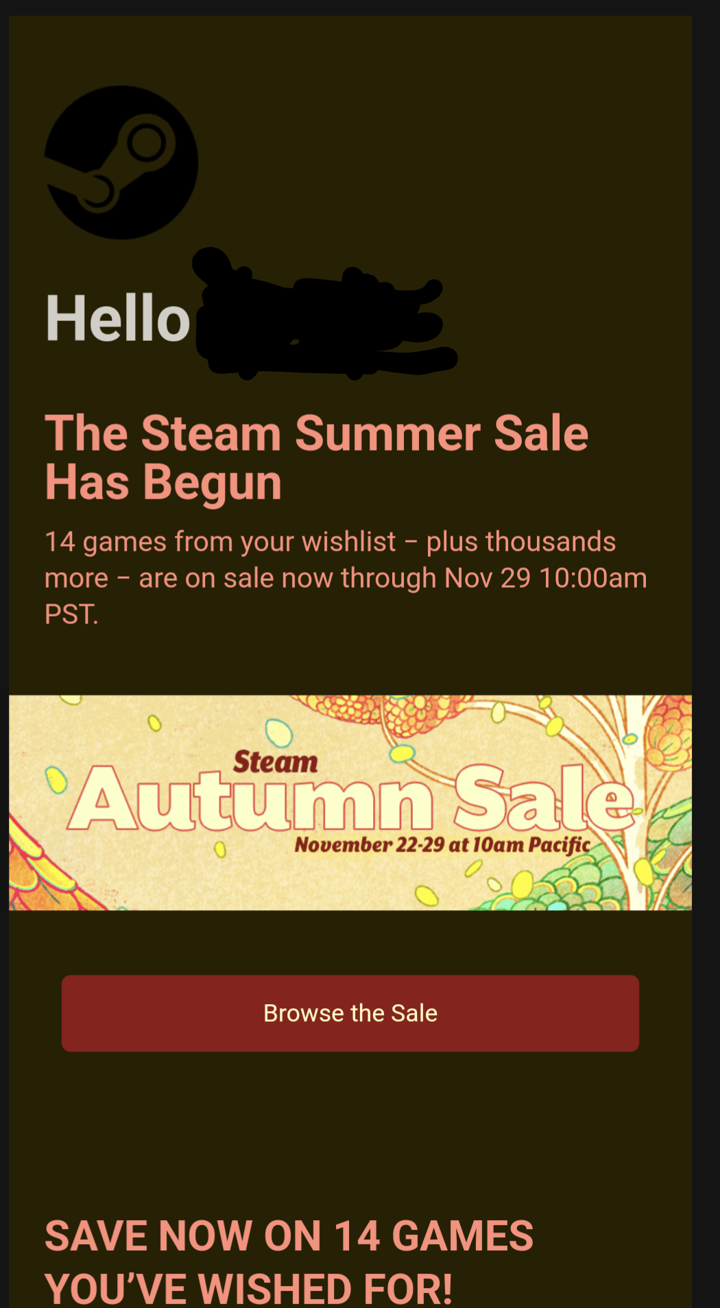 Sent the Steam Sale Email, Boss r/NotMyJob