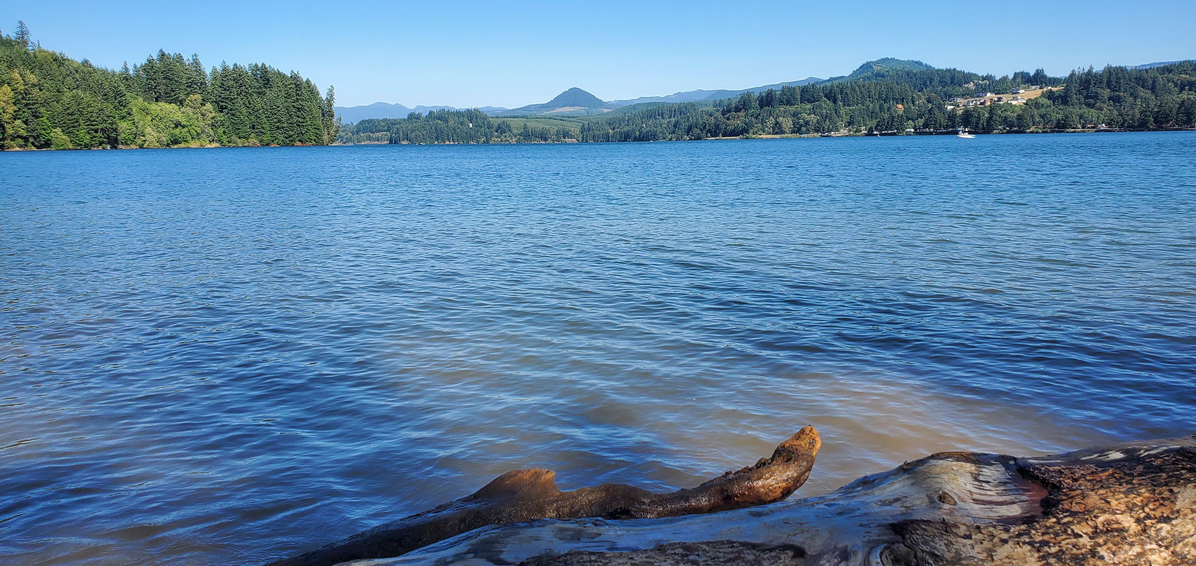 2 Days ago at Foster Lake near Sweet Home r/oregon