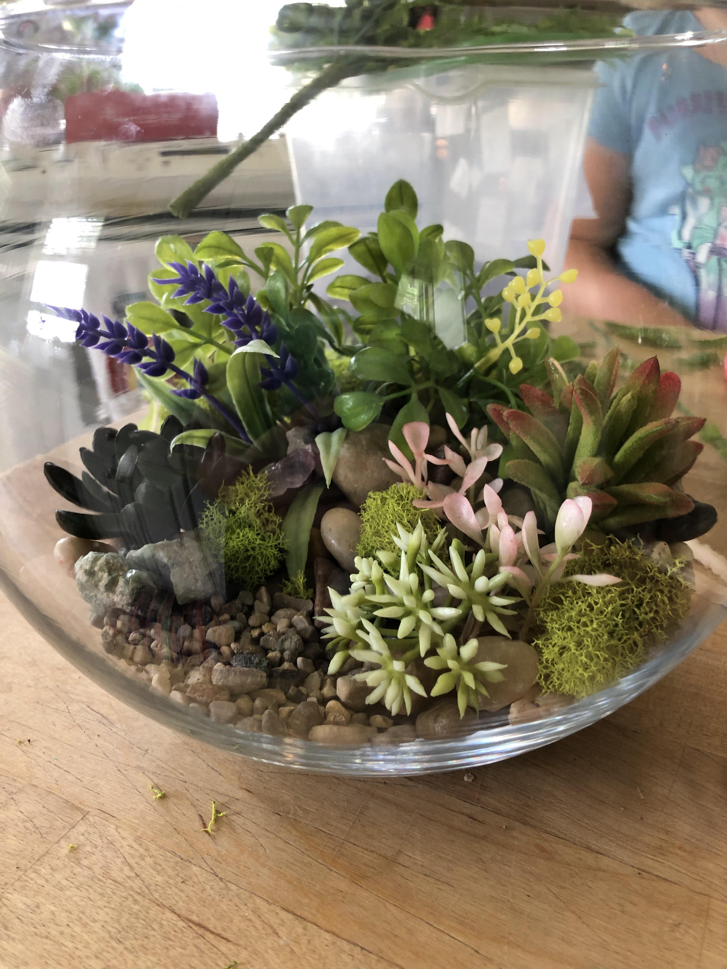 My daughter wants to start making terrariums, so I let her practice