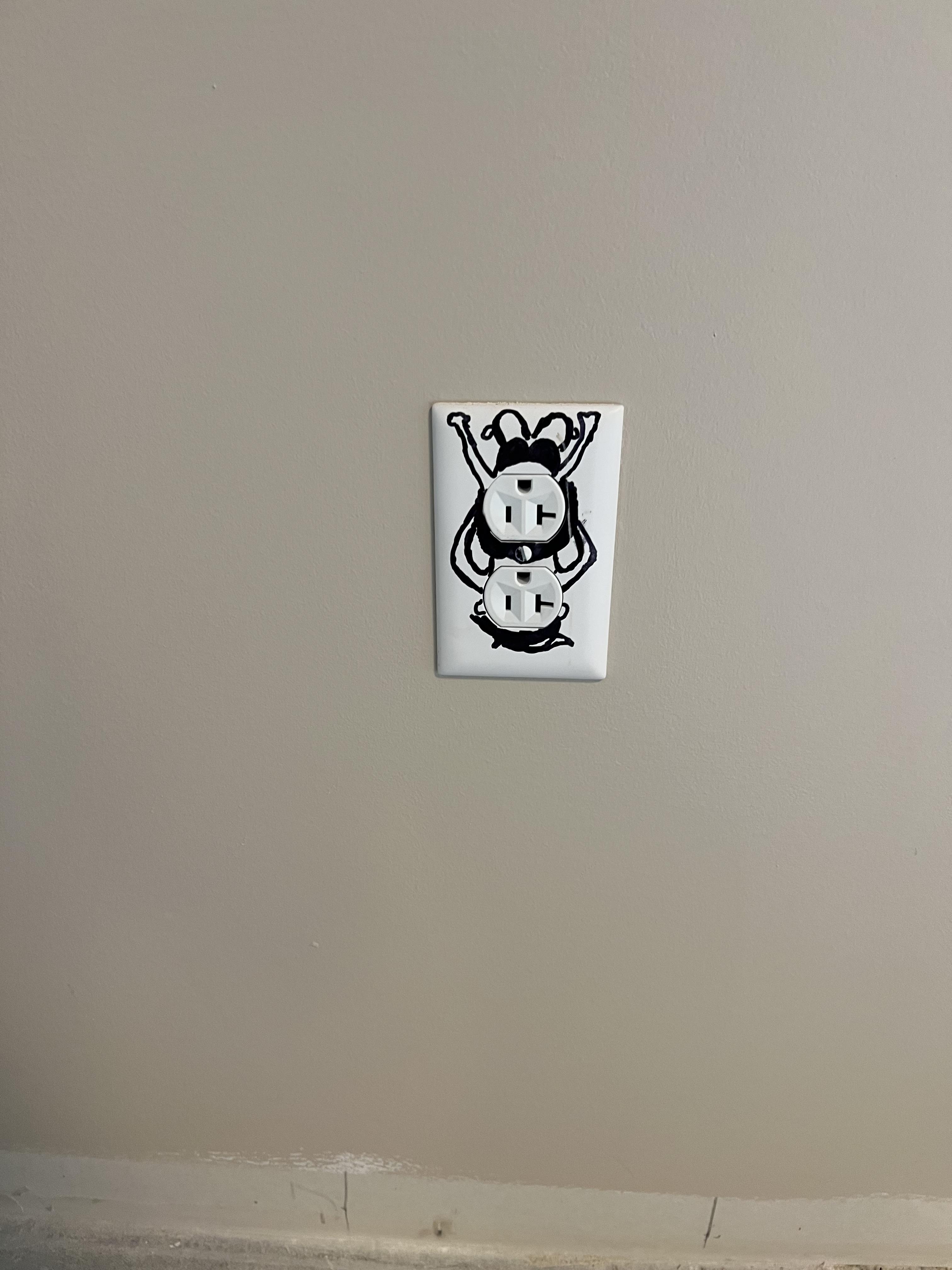 Custom cover plates were not specified - at least this is a new one for