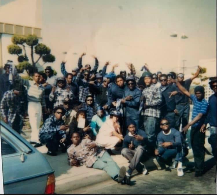 See Of Blue AVALON GANGSTA CRIP 40 53 X 42 43 GANGSTA CRIP EASTSIDE