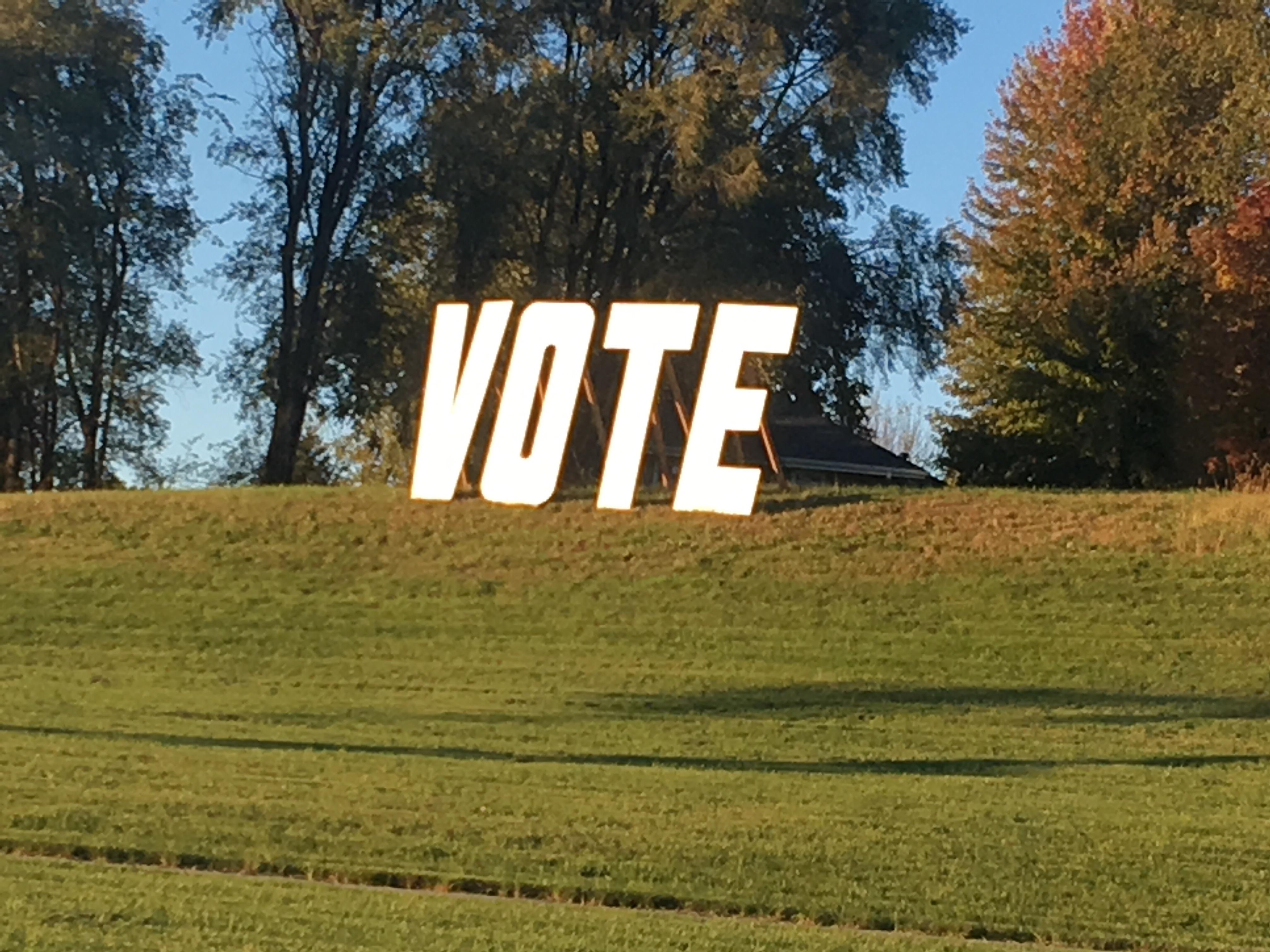 Found in the Johnston area. Get out there and vote! r/Iowa