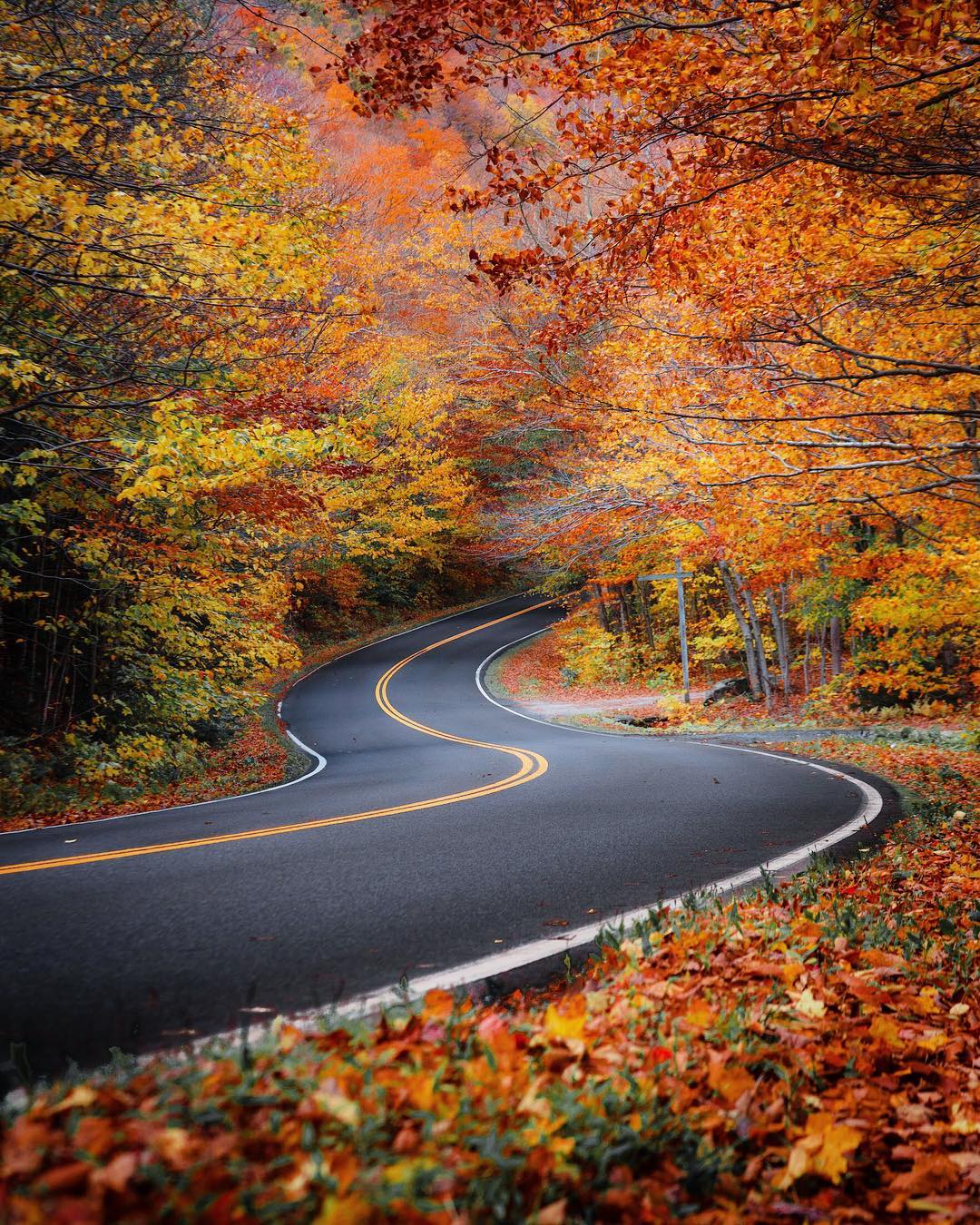 Beautiful Road's of VERMONT r/vermont